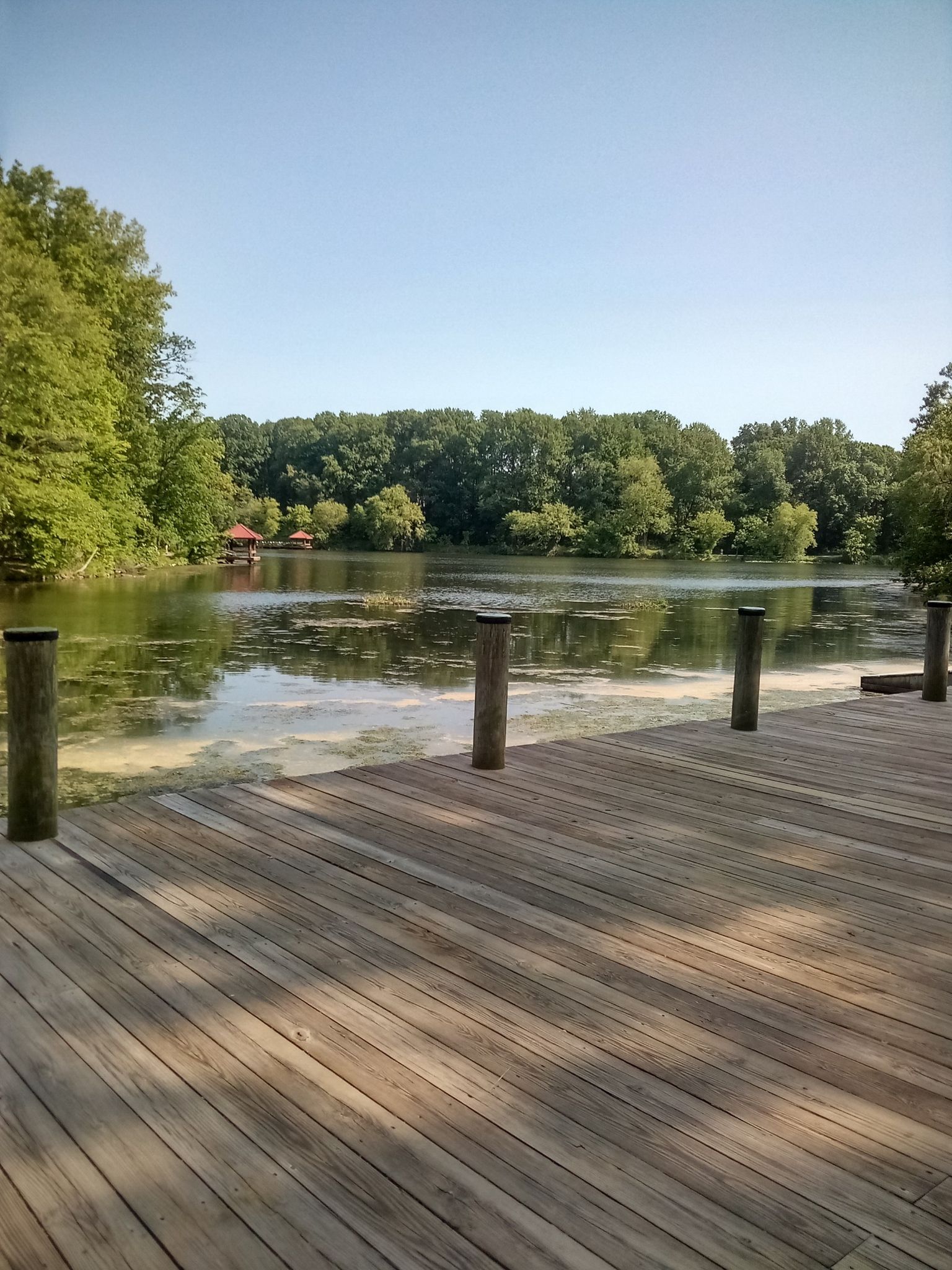 Wooden dock extends into a calm lake surrounded by green trees under clear sky. - From Parking to Lake Elkhorn