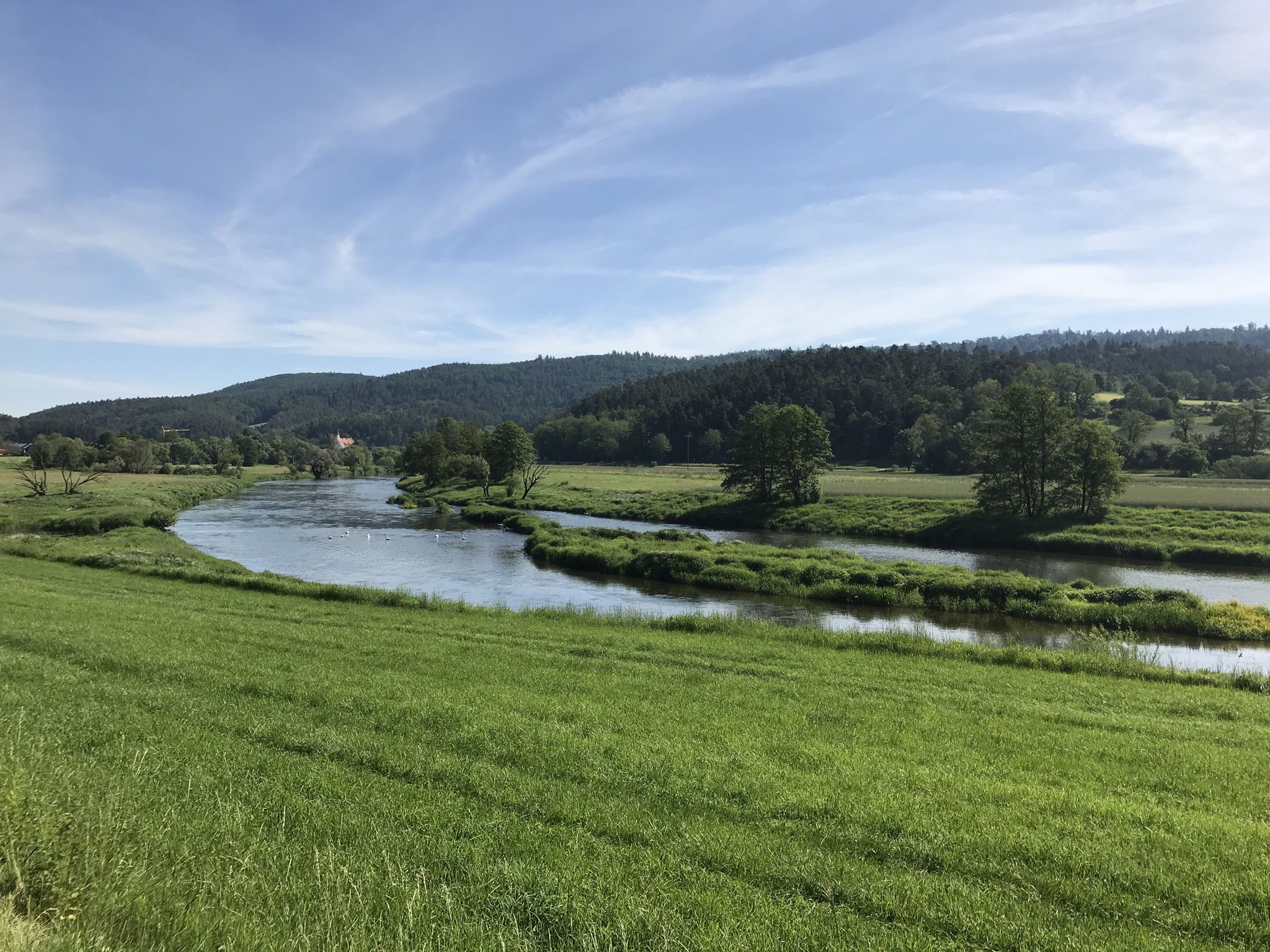 Hirschllng