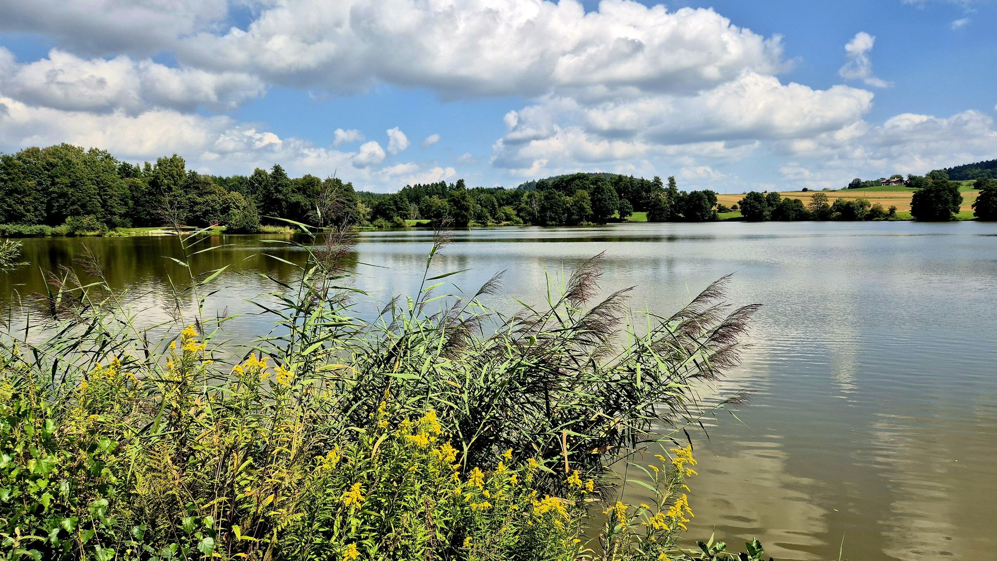 Hammerweiher