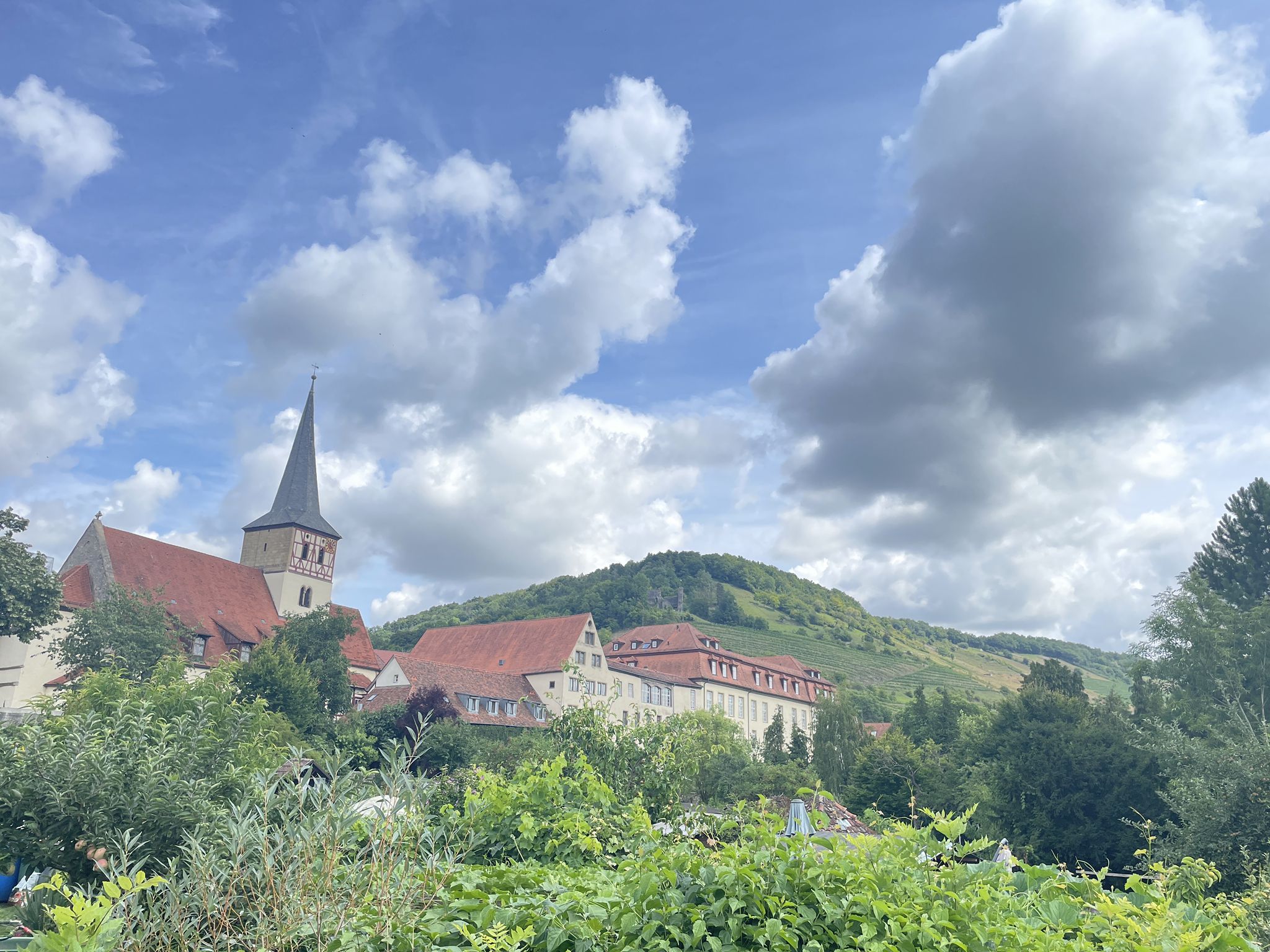 Nikolauskirche und Neues Schloss mit Prinzessinenbau
