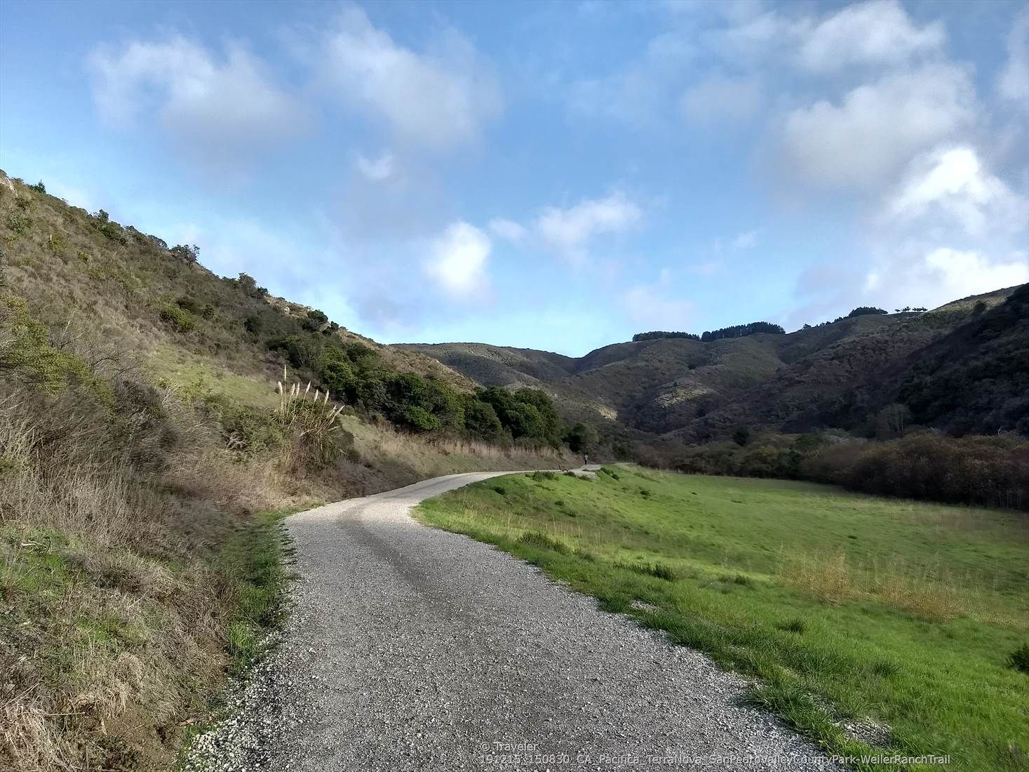 Winding gravel road through green and brown hills under a bright, cloudy sky. - Weiler Ranch and Valley View Trail Loop