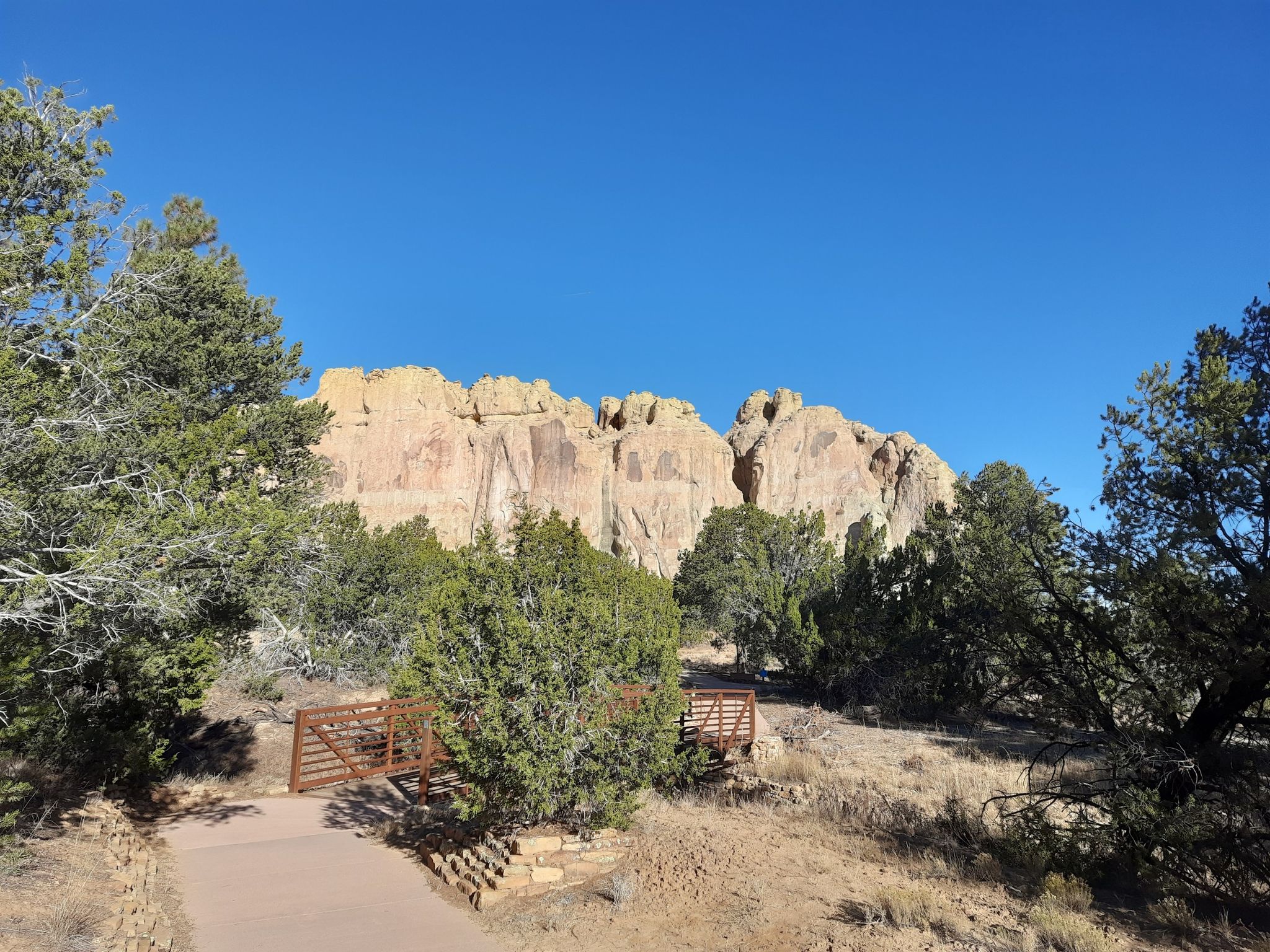 Sunny view of large rock formations behind green trees and a path. - Inscription Rock Trail