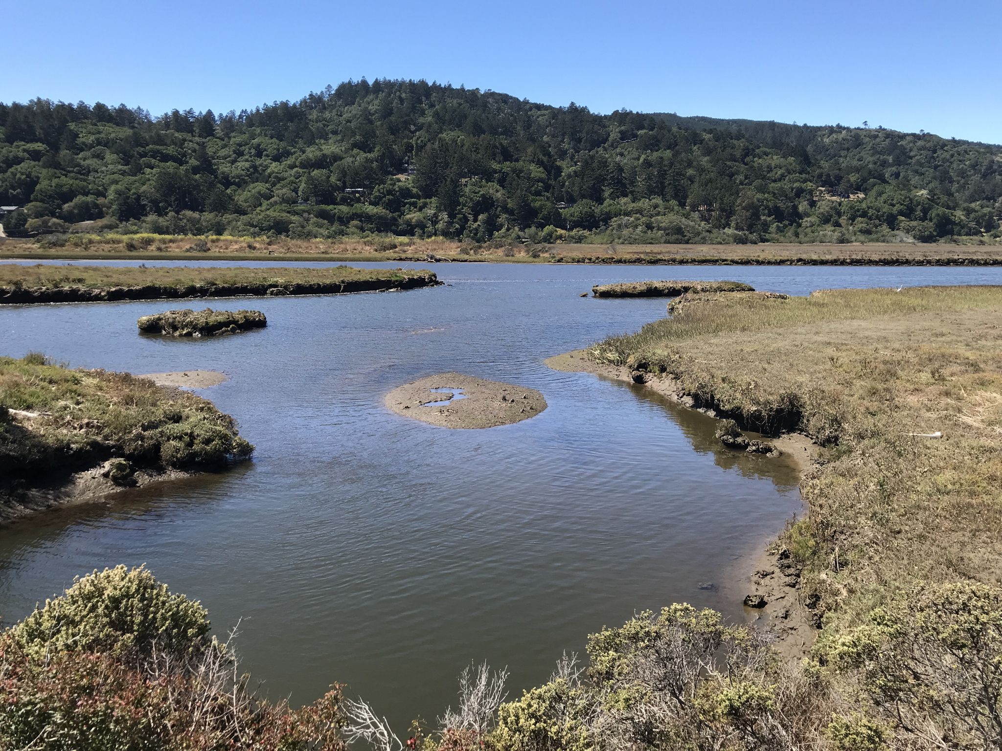 A winding river with small islands and forested hills under a clear sky. - Tomales Bay Trail Loop