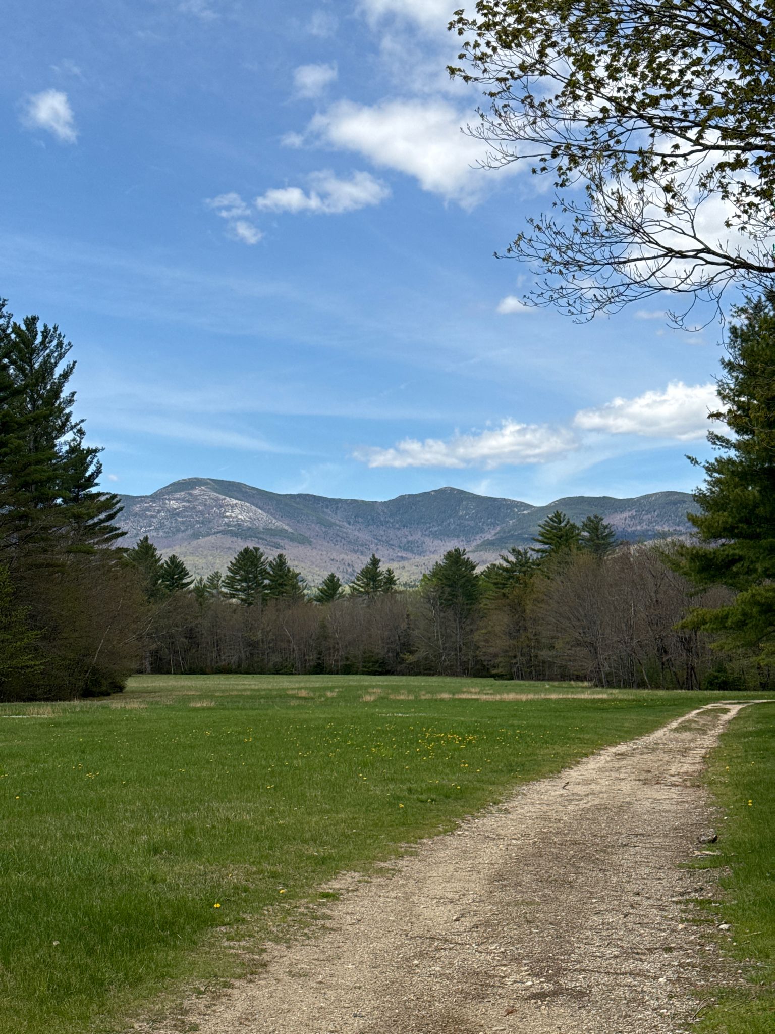 Gorgeous view on the road walk back