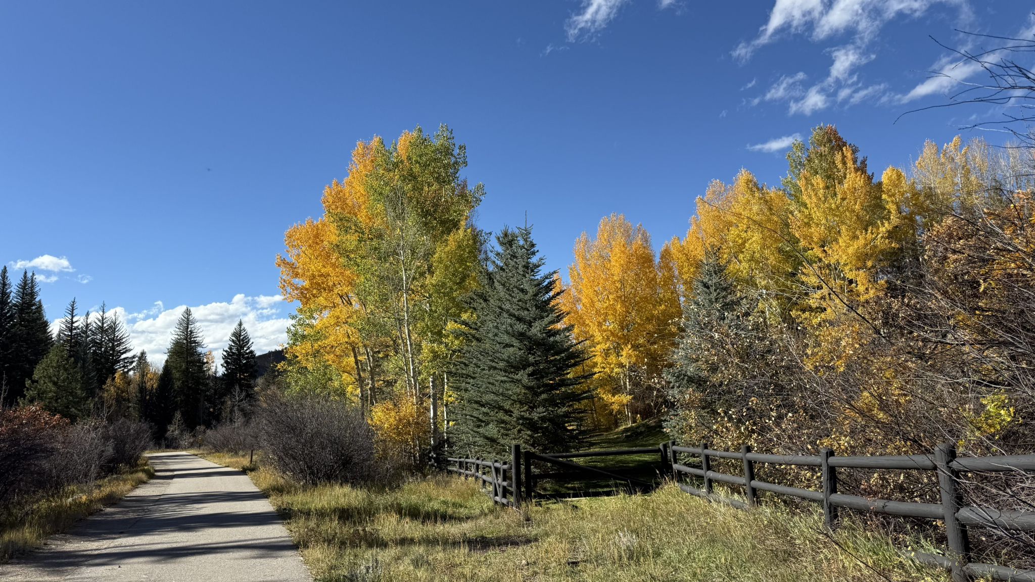 A paved path runs alongside a wooden fence, surrounded by autumn trees. - Rio Grande and Ruedi Reservoir Loop