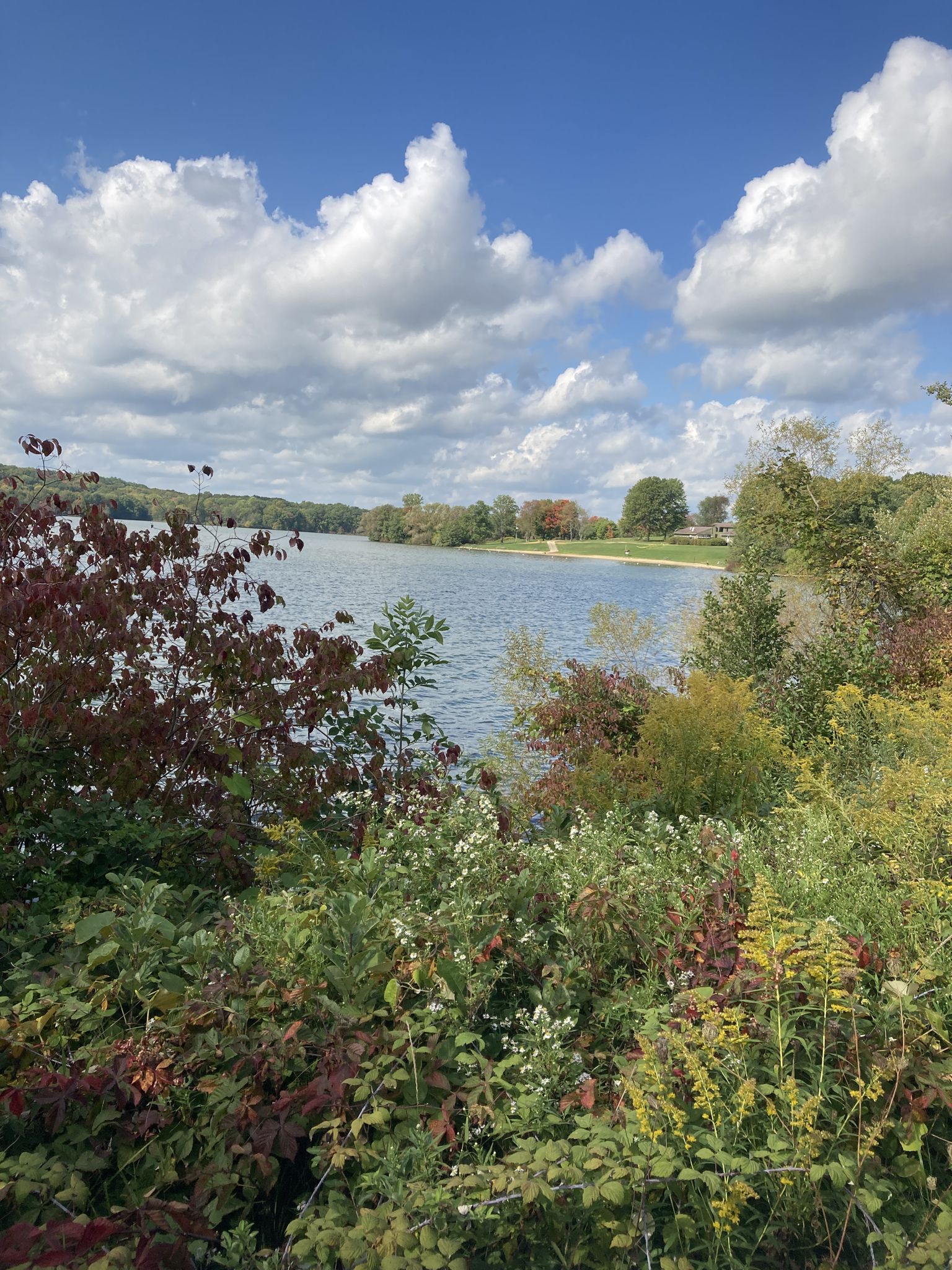 Sunny lake view with lush green and red foliage under a cloudy sky. - Lake Arthur – Lake Arthur Bike Trail loop from E11