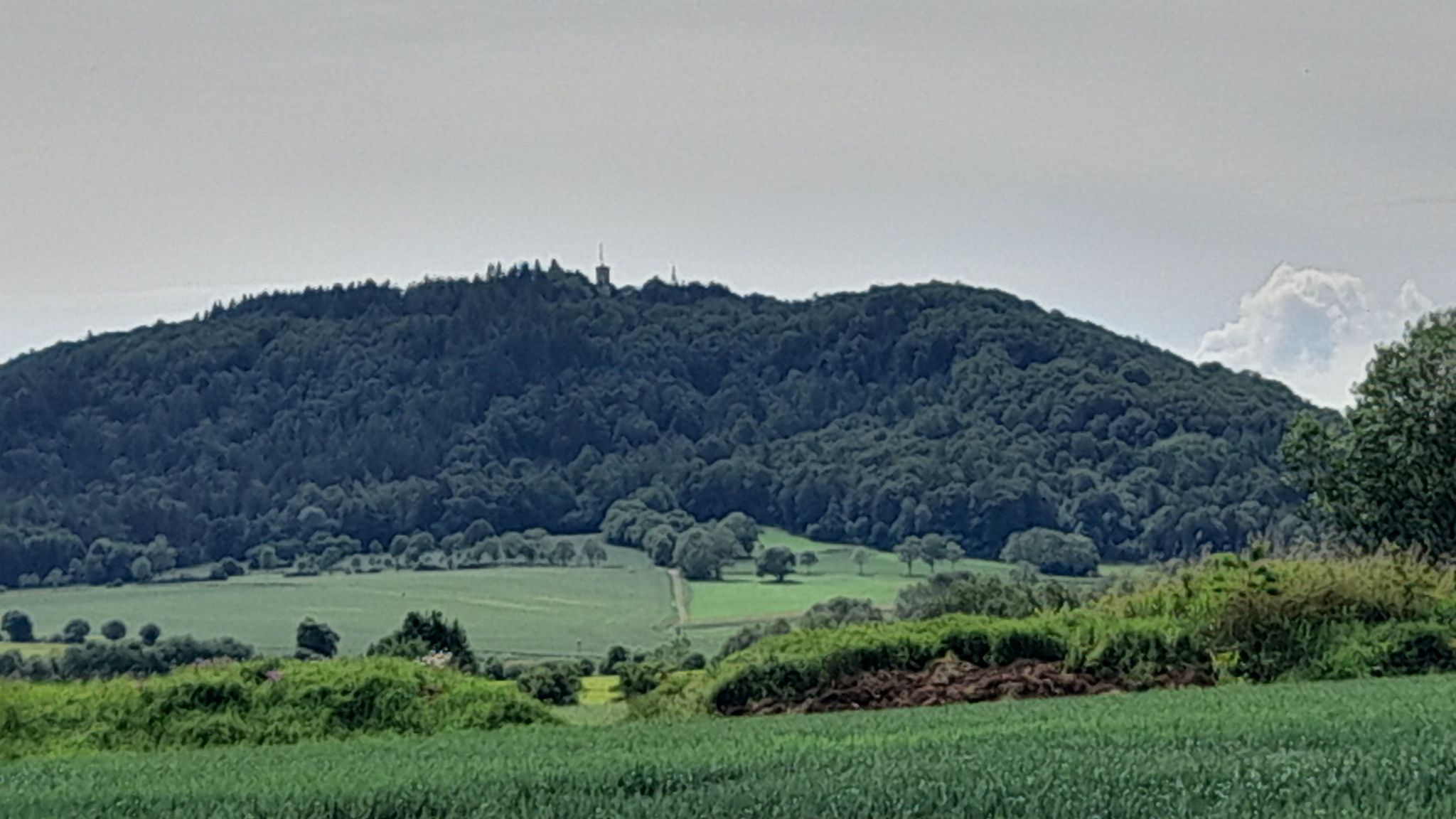Goldhausen in Sicht