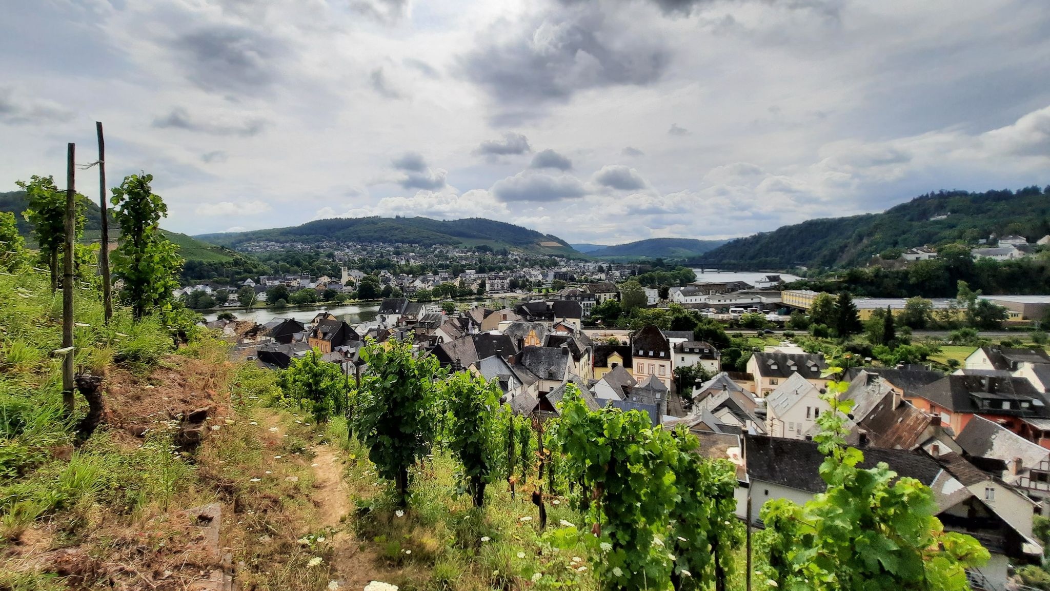 Aussicht über Alf und Bullsy