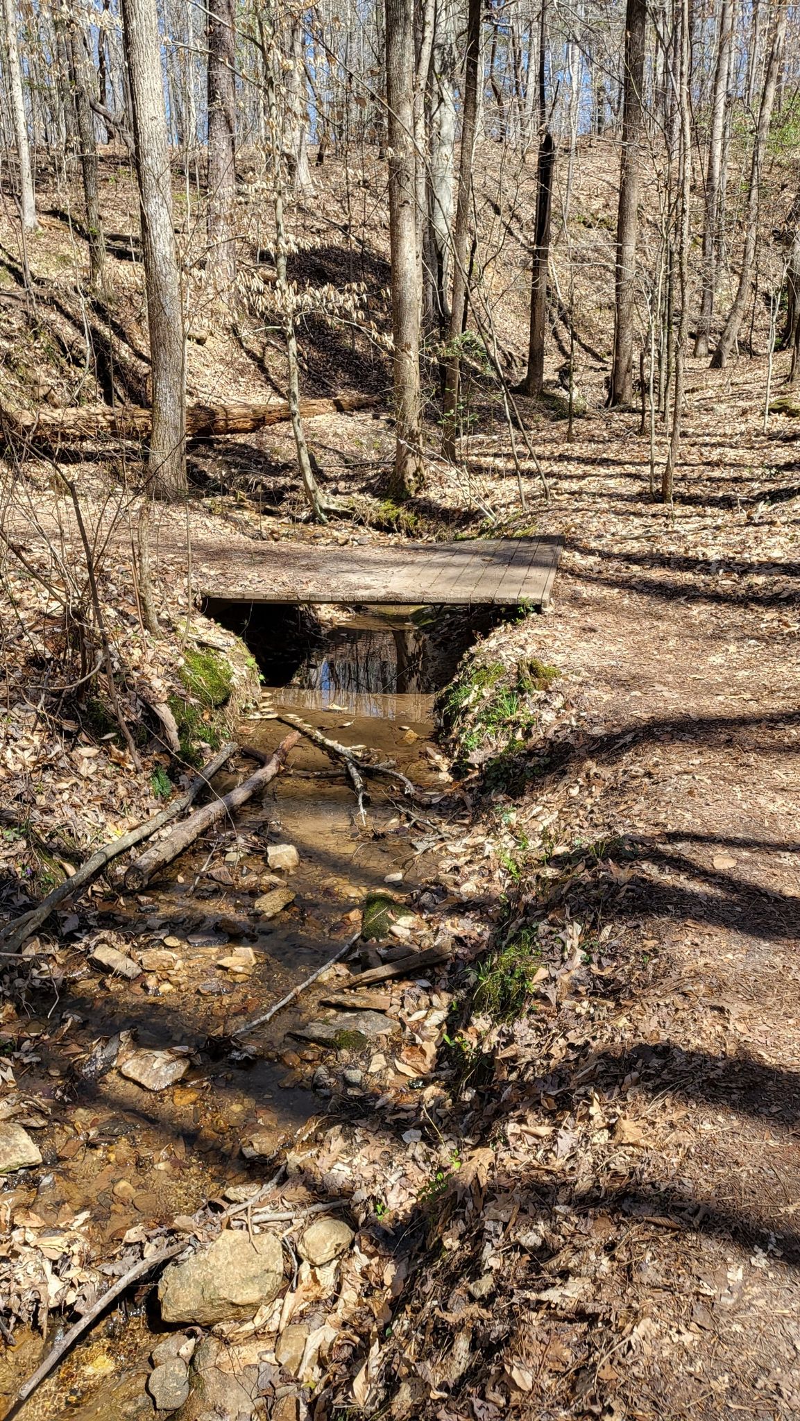 Small wooden bridge over a rocky stream in a bare forest. - Bowmans Island loop from Chattahoochee River National Recreation Area