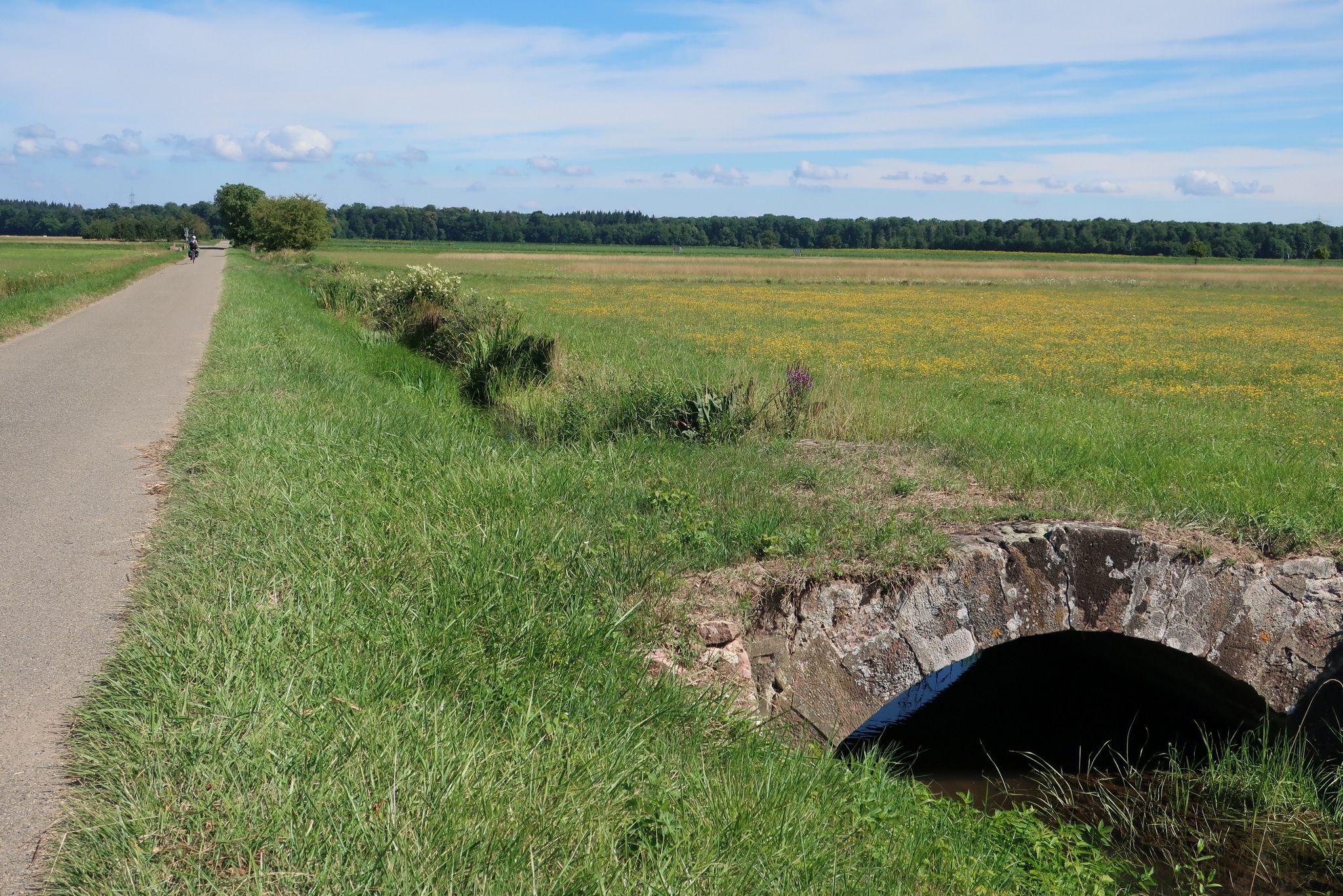 Naturschutzgebiet Elzwiesen mit vielen alten Sandsteinbrückchen über den Bewässerungskanal