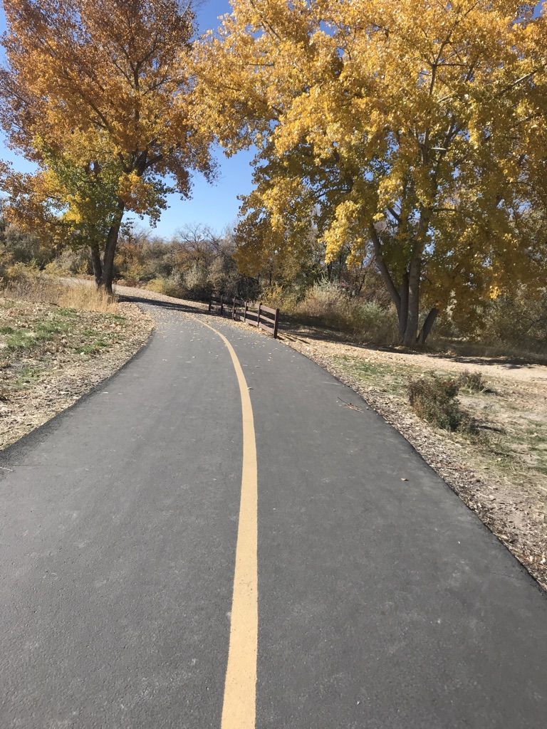 Paved path with a yellow line curving through trees with autumn leaves. - Little Confluence Nature Trail
