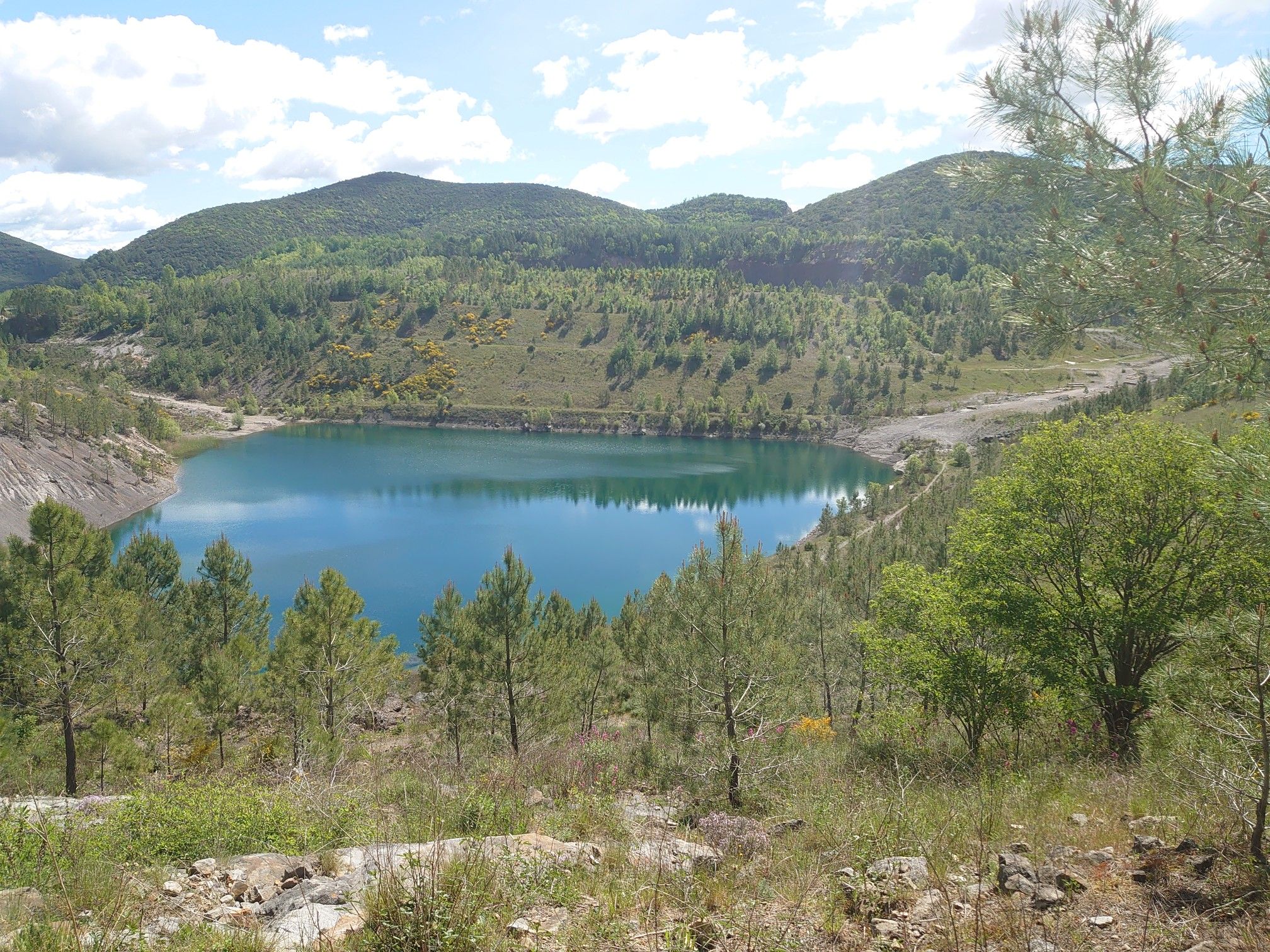 lac 1