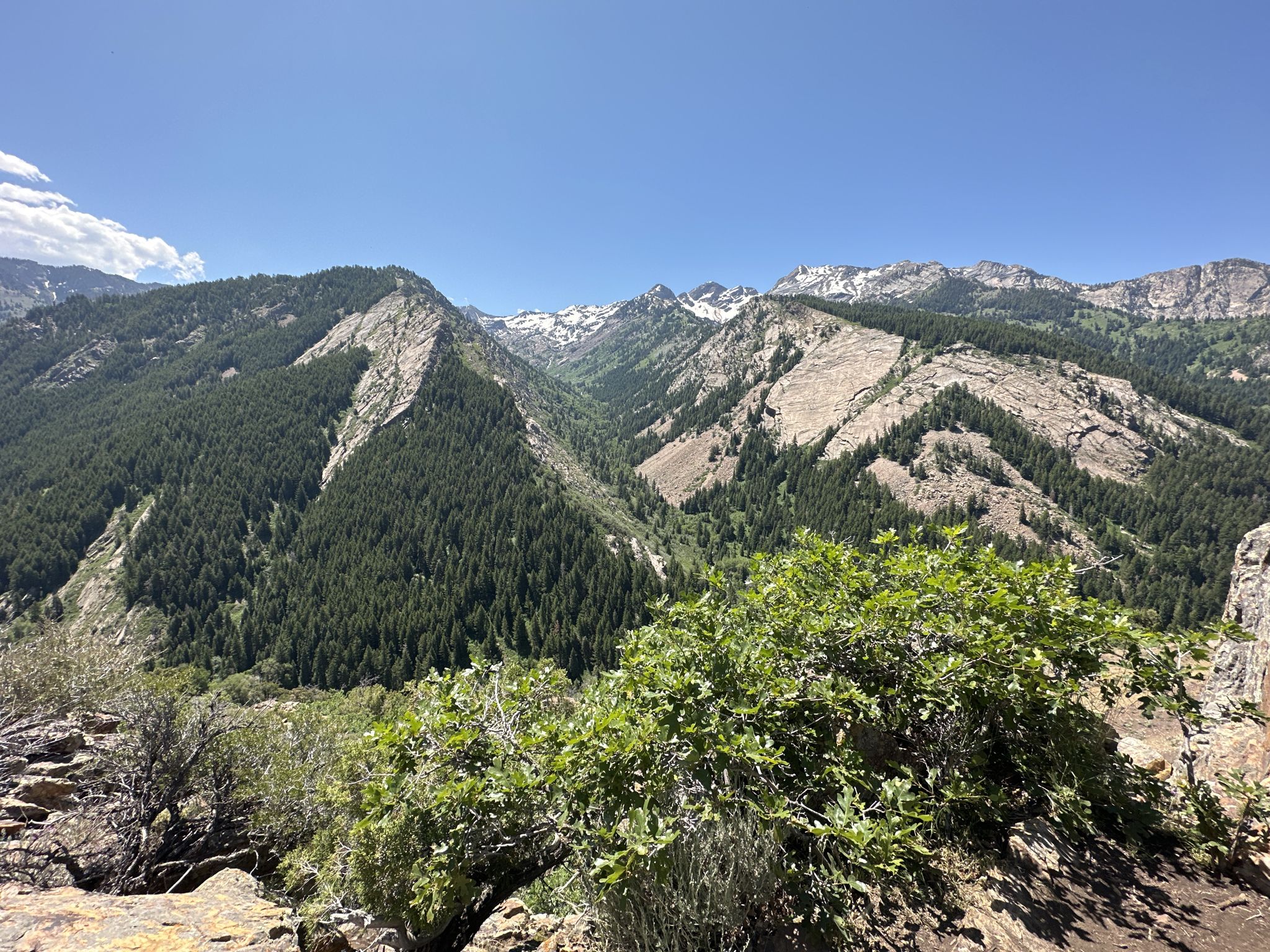 Expansive view of green forested mountains and valleys with distant snow-capped peaks. - Mill B North Trail to Mill B Overlook