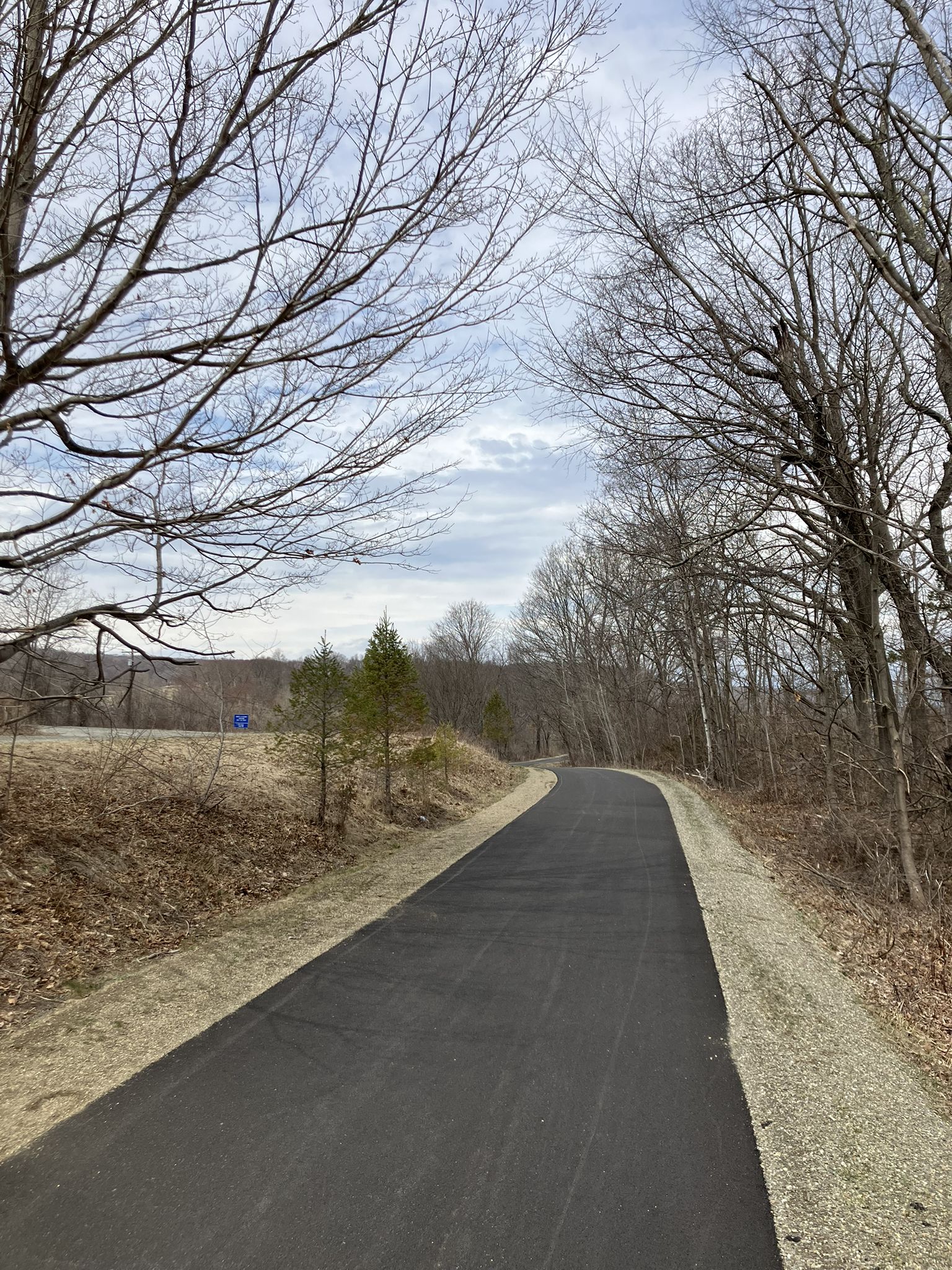 Paved path curving through a winter landscape with bare trees under a cloudy sky. - Wassiac Bridge over a Creek – Wassiac Rail Station loop from Centennial Watershed State Forest