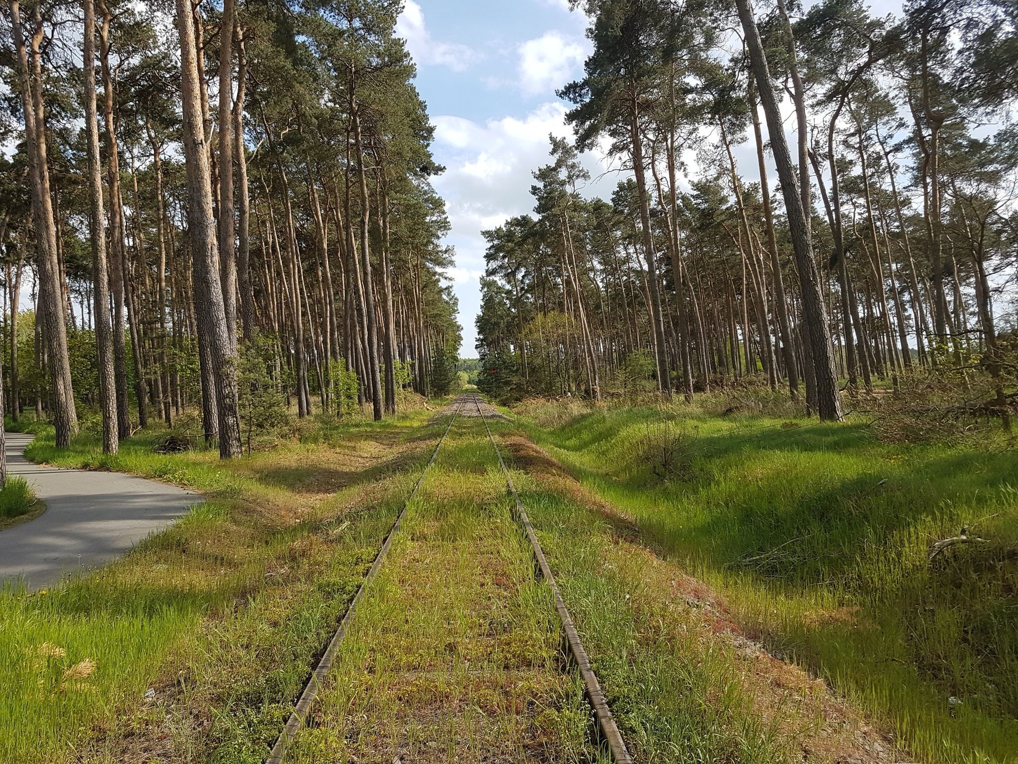 Waldeisenbahn