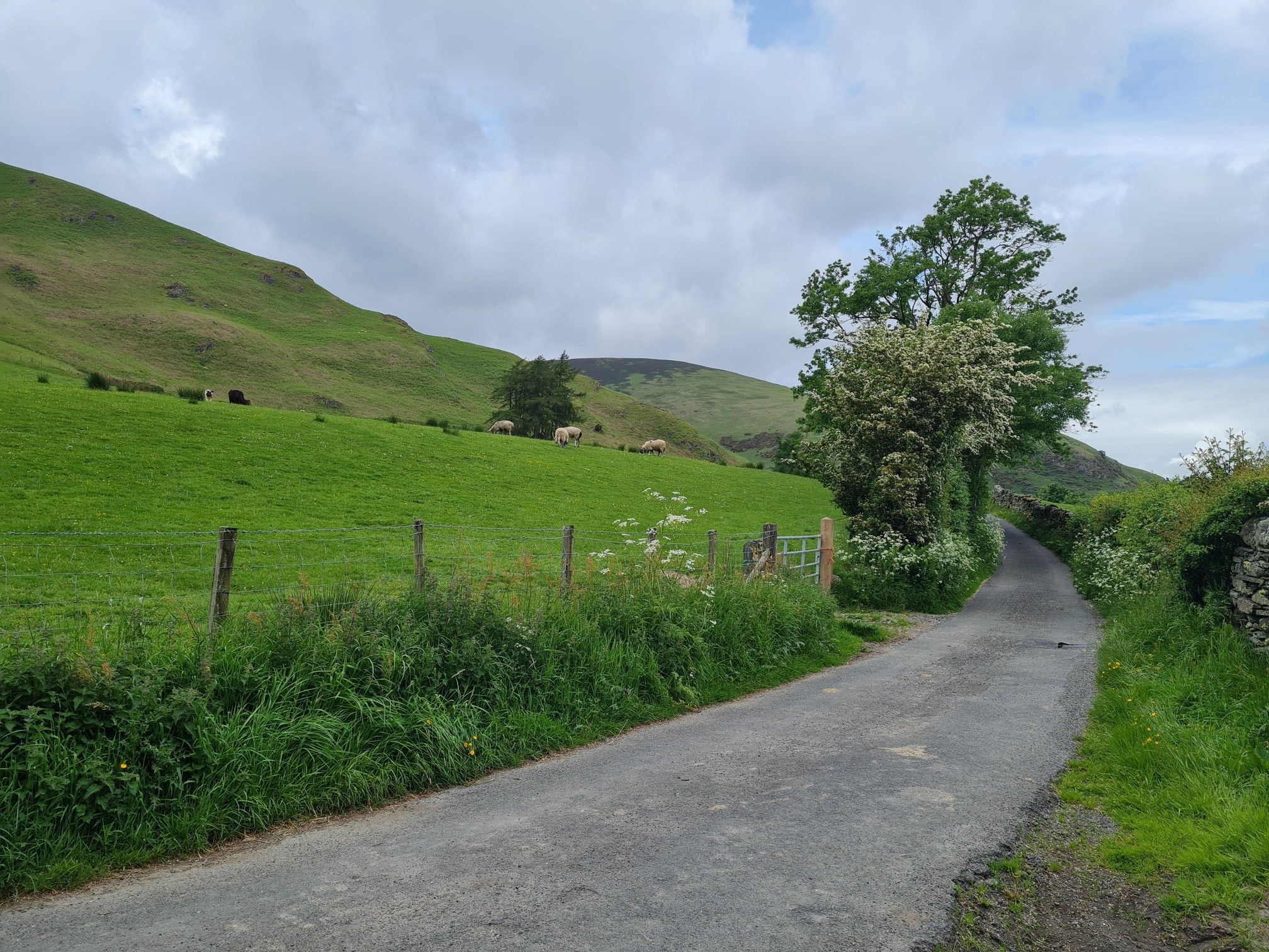 quiet lane