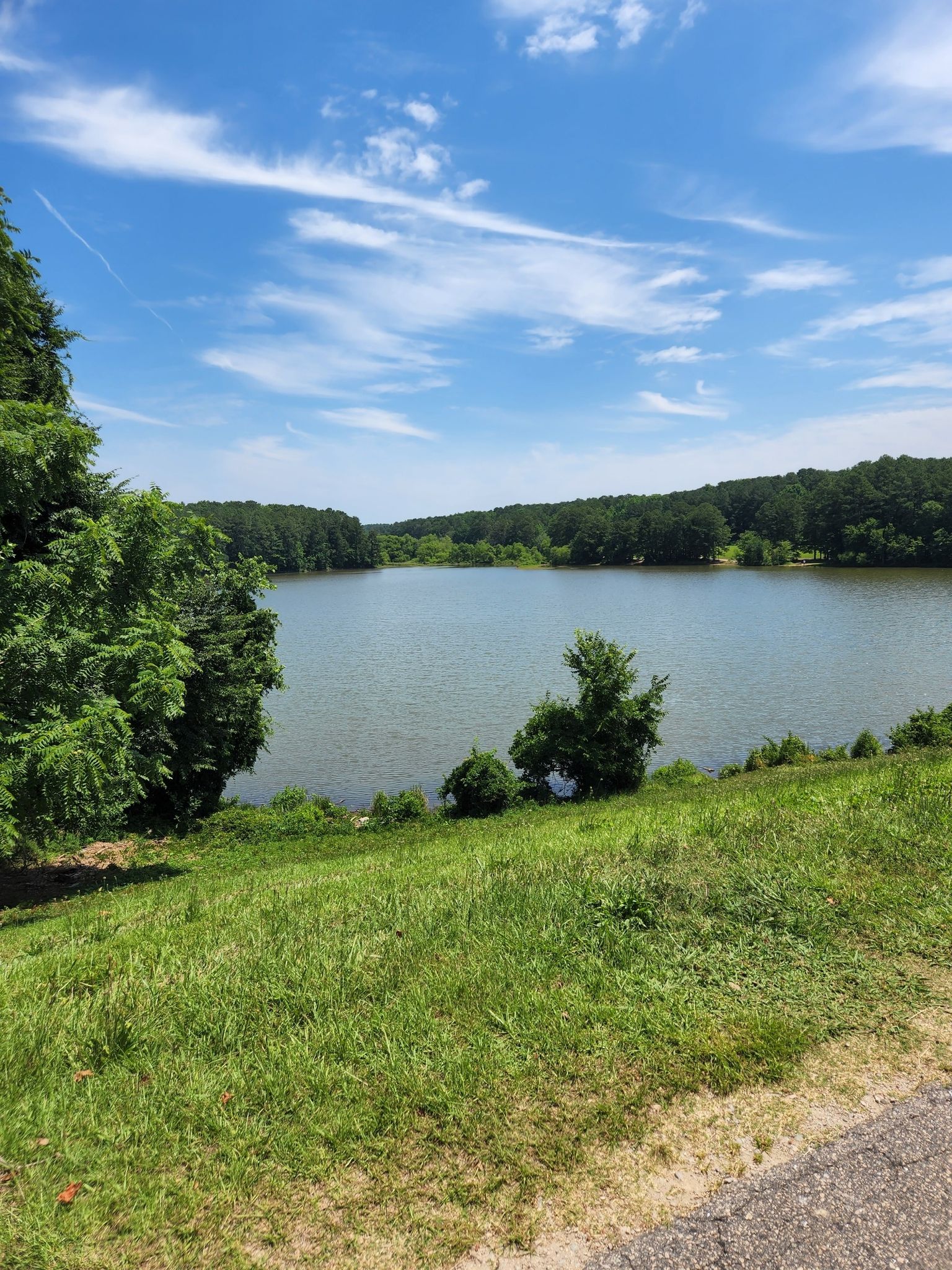 Sunny view of a lake from a green grassy hill, surrounded by trees. - Shelley Lake Trail