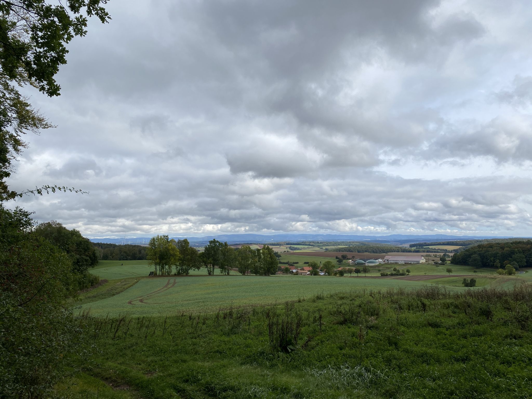 27.09.20: Potzwenden vor Oberharzpanorama