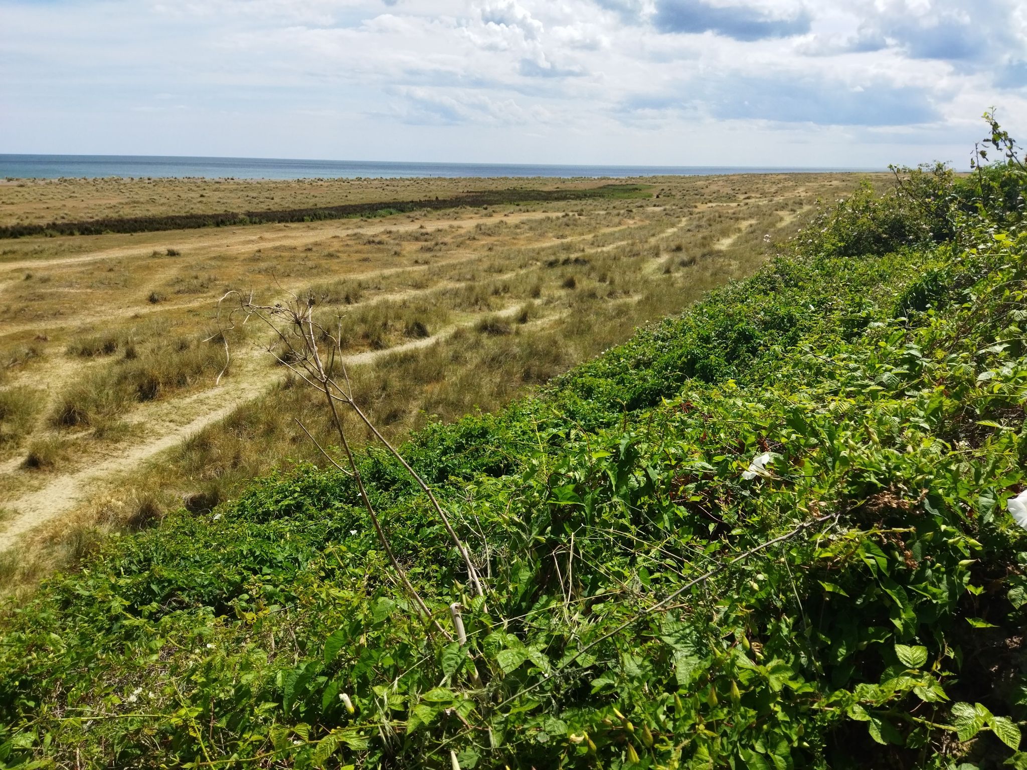 kessingland