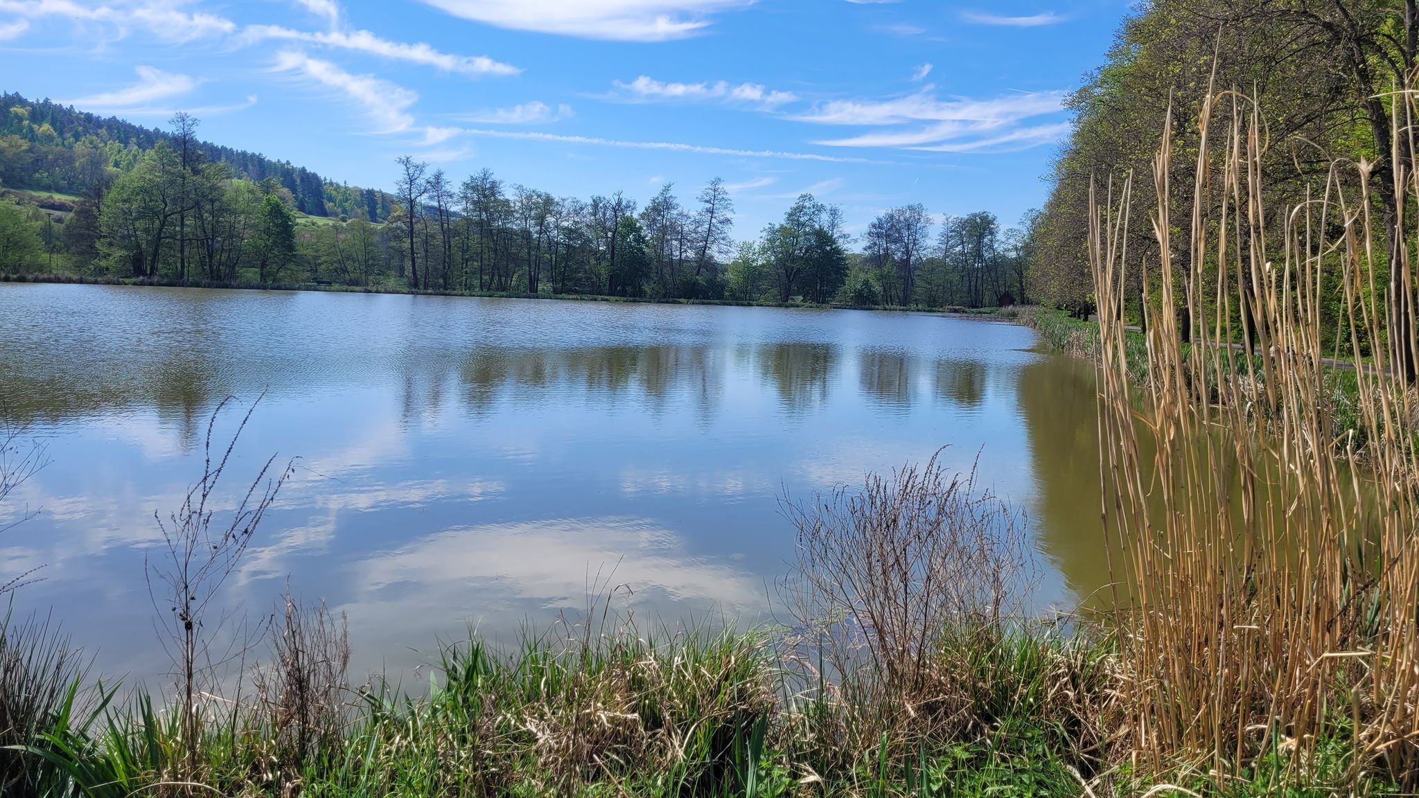 Knittelteich am Damenweg