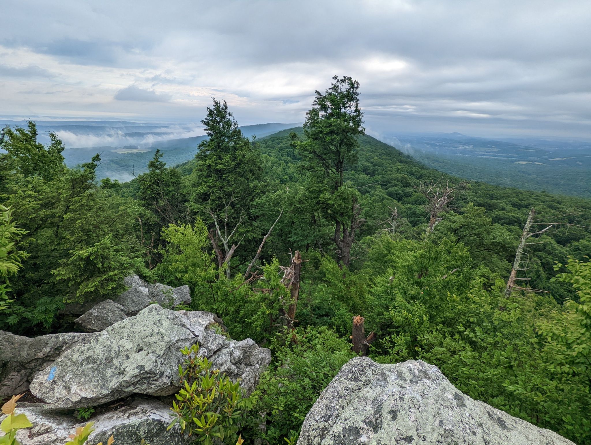 Overcast view of lush green mountains and hazy valleys from rocky outcrop. - Hawk and Pinnacle Mountains via Appalachian Trail