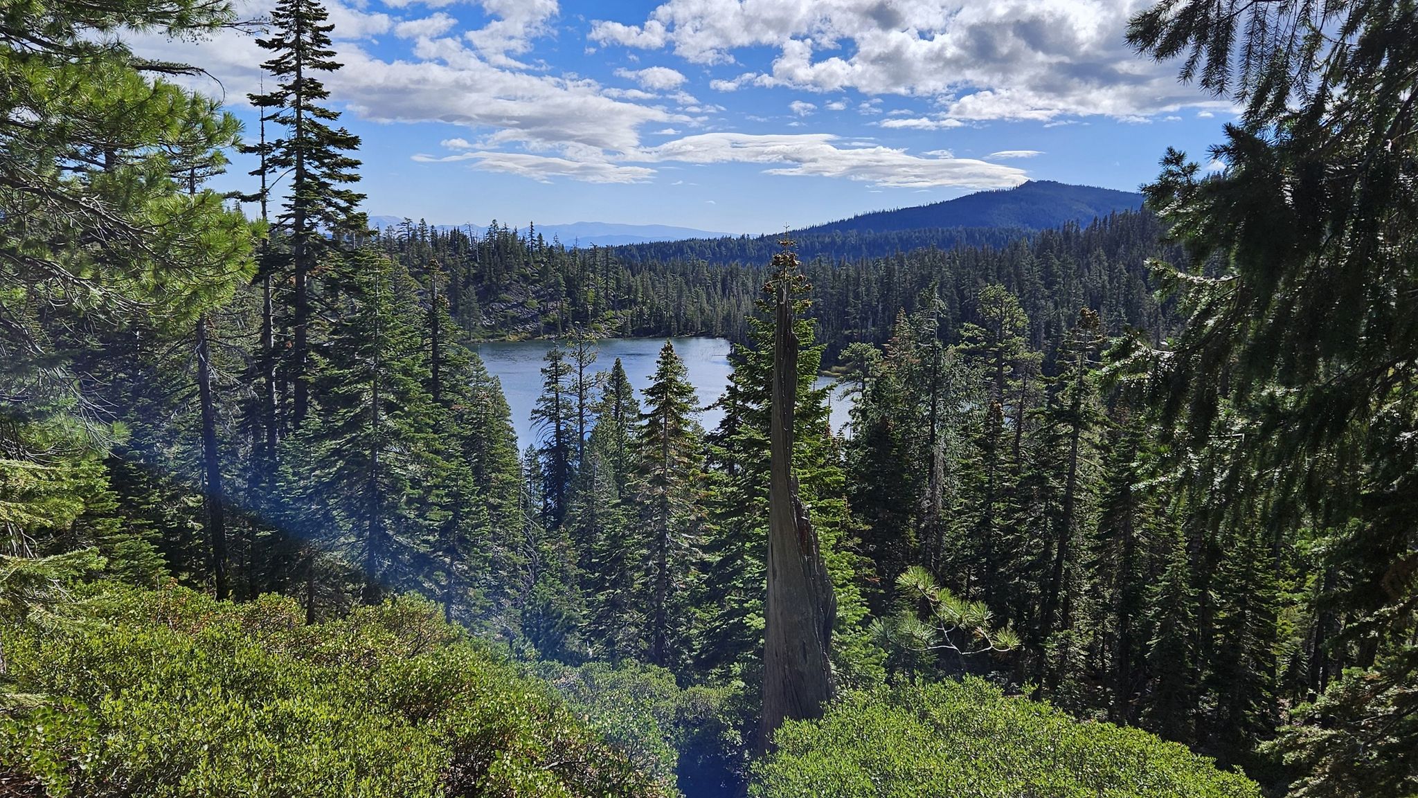 Dense evergreen forest overlooking a distant lake and mountains under a cloudy sky. - Smith Lake Trail
