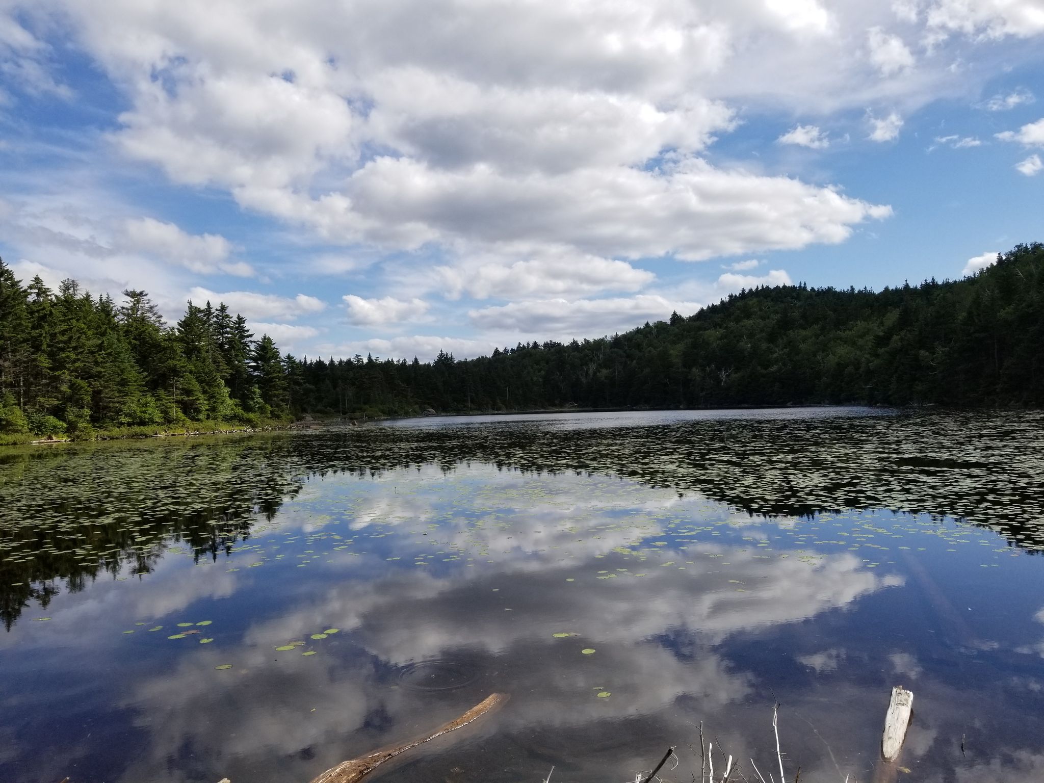 Calm lake reflecting cloudy sky, surrounded by dense green forest. - Andrew Brook Trail