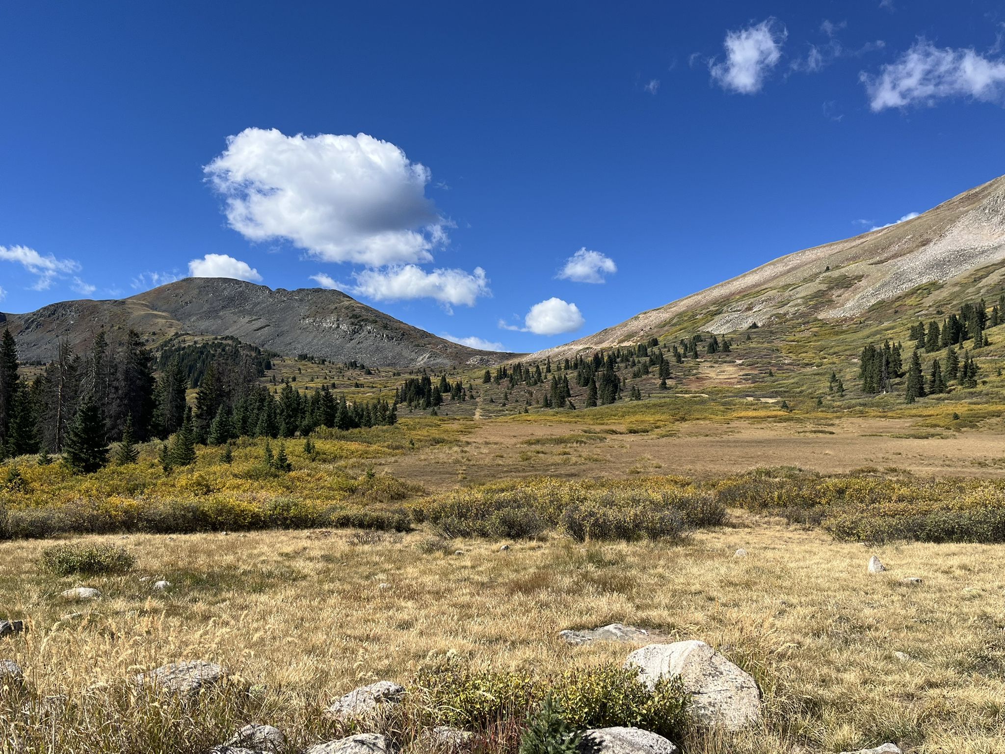 A wide valley with mountains and scattered trees under a blue sky. - Buena Vista to Tincup OHV Route