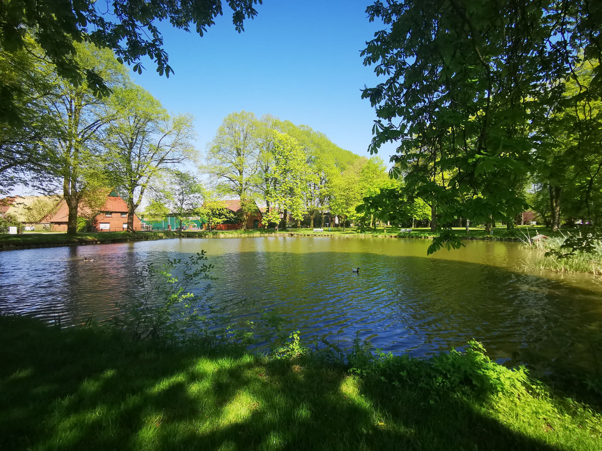 Gönnebeker Dorfteich