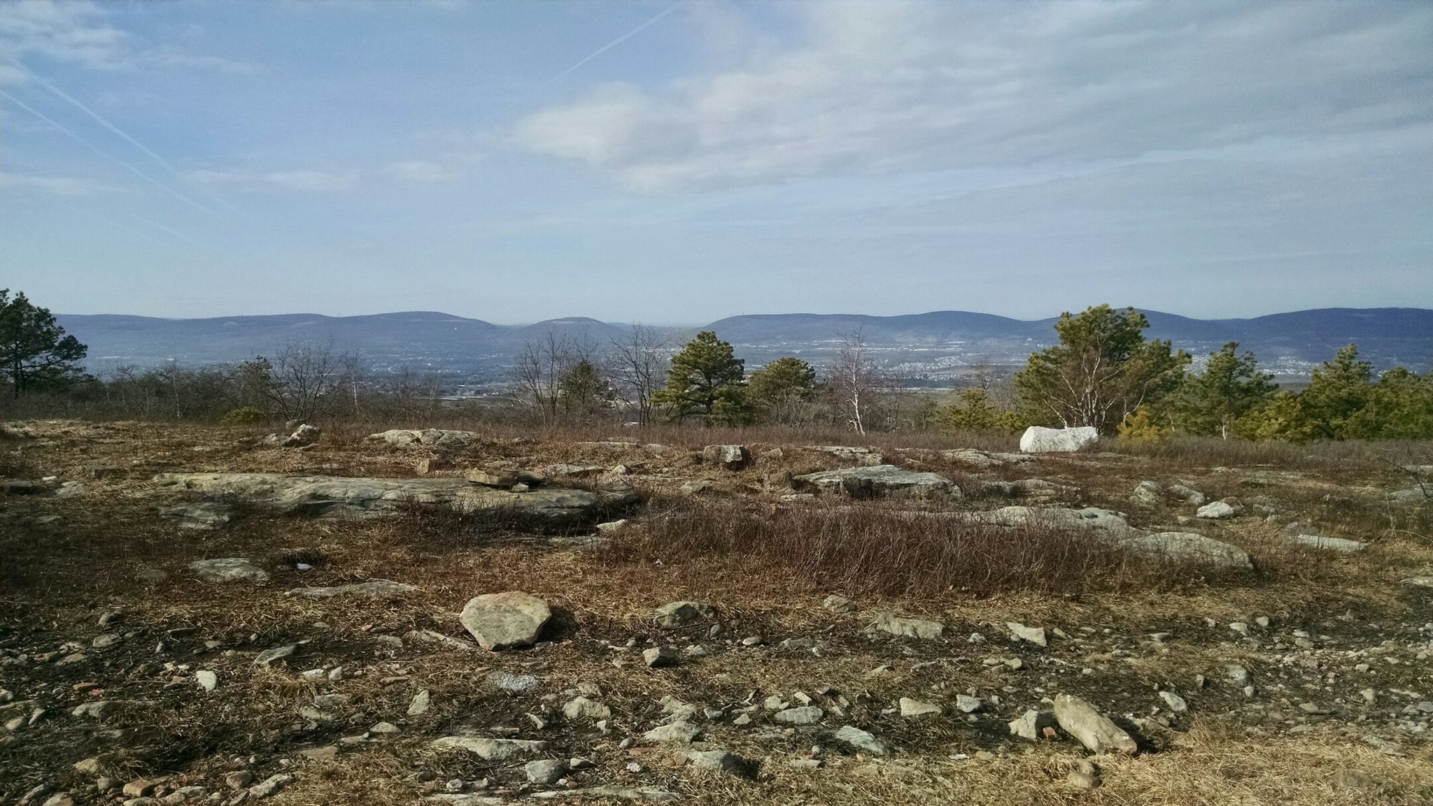 Rocky, open ground with sparse trees and distant mountains under a bright sky. - Top of the World Trail
