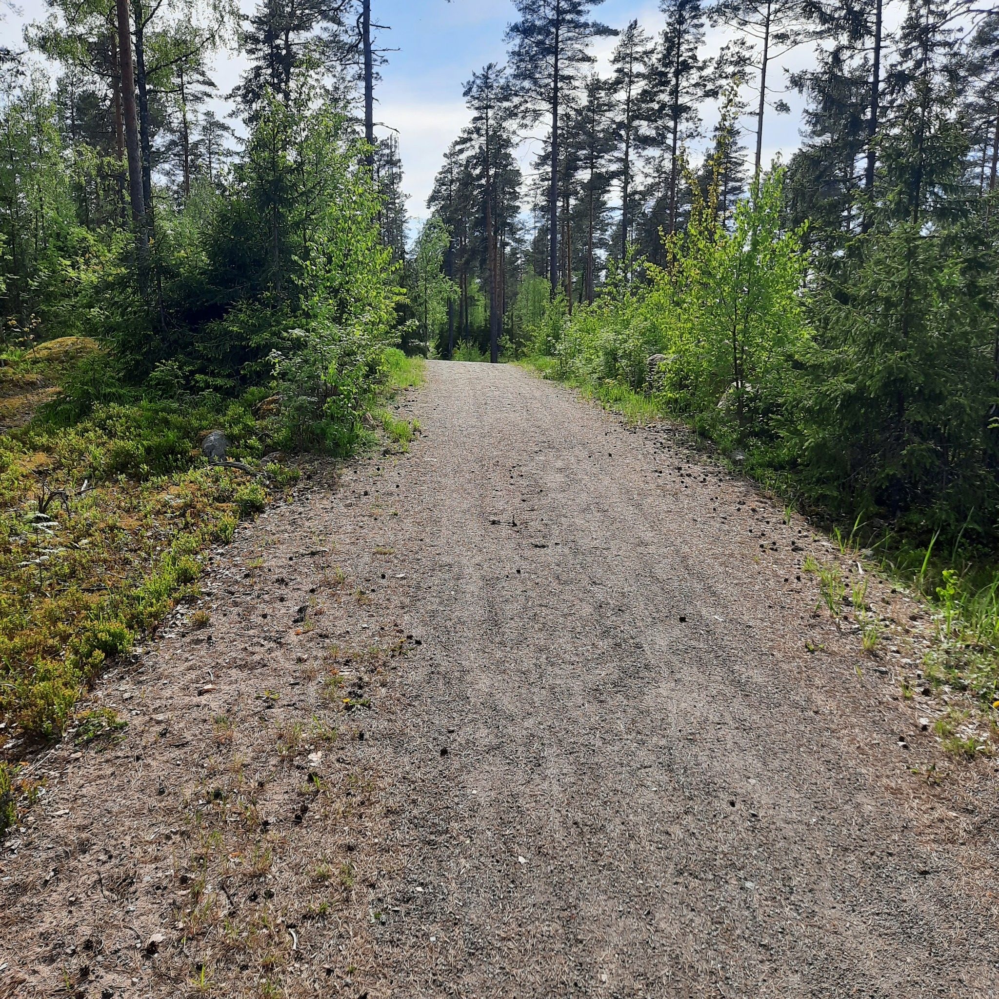 klasse Gravel-Waldweg