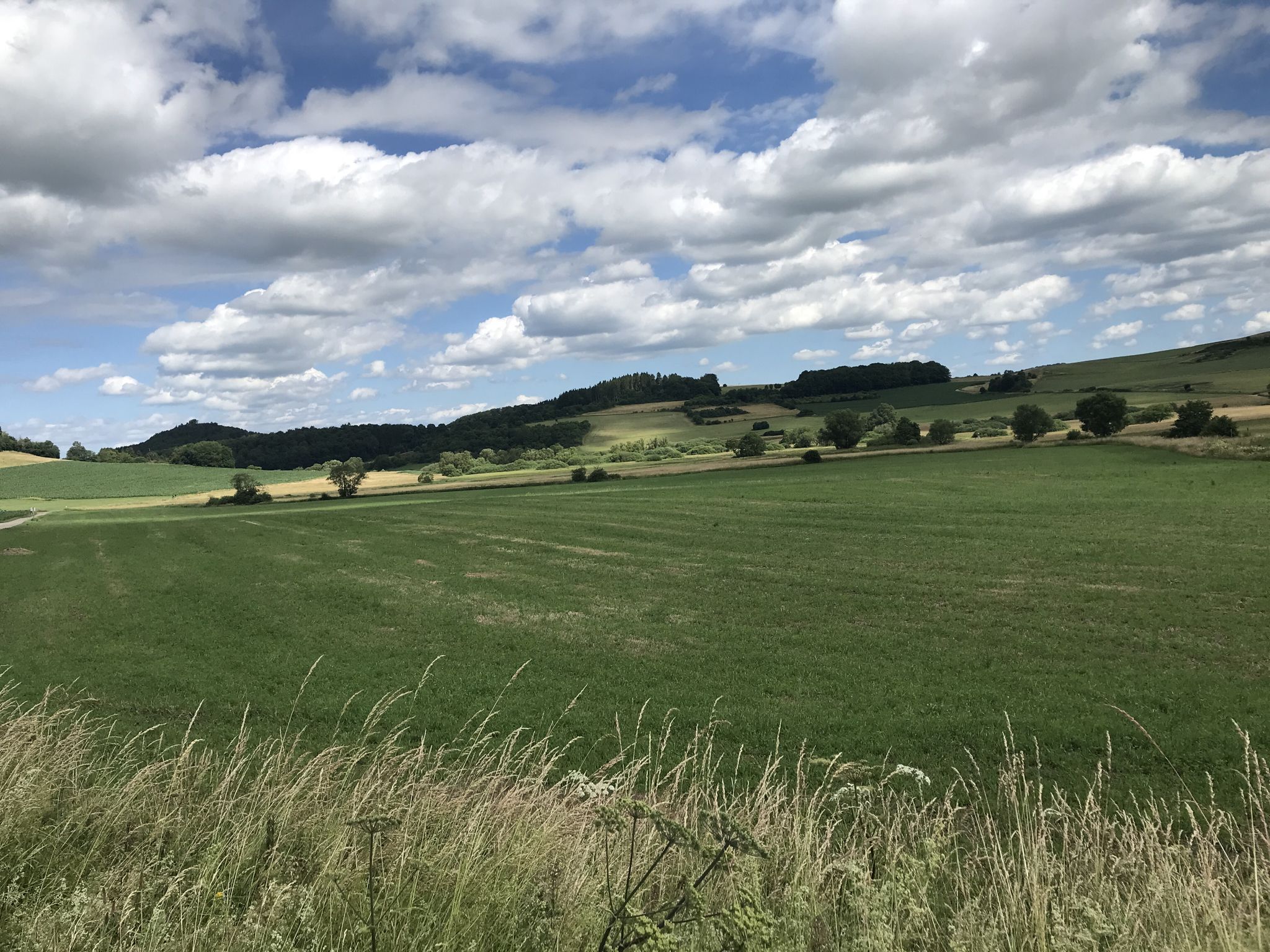 Eifel Blick