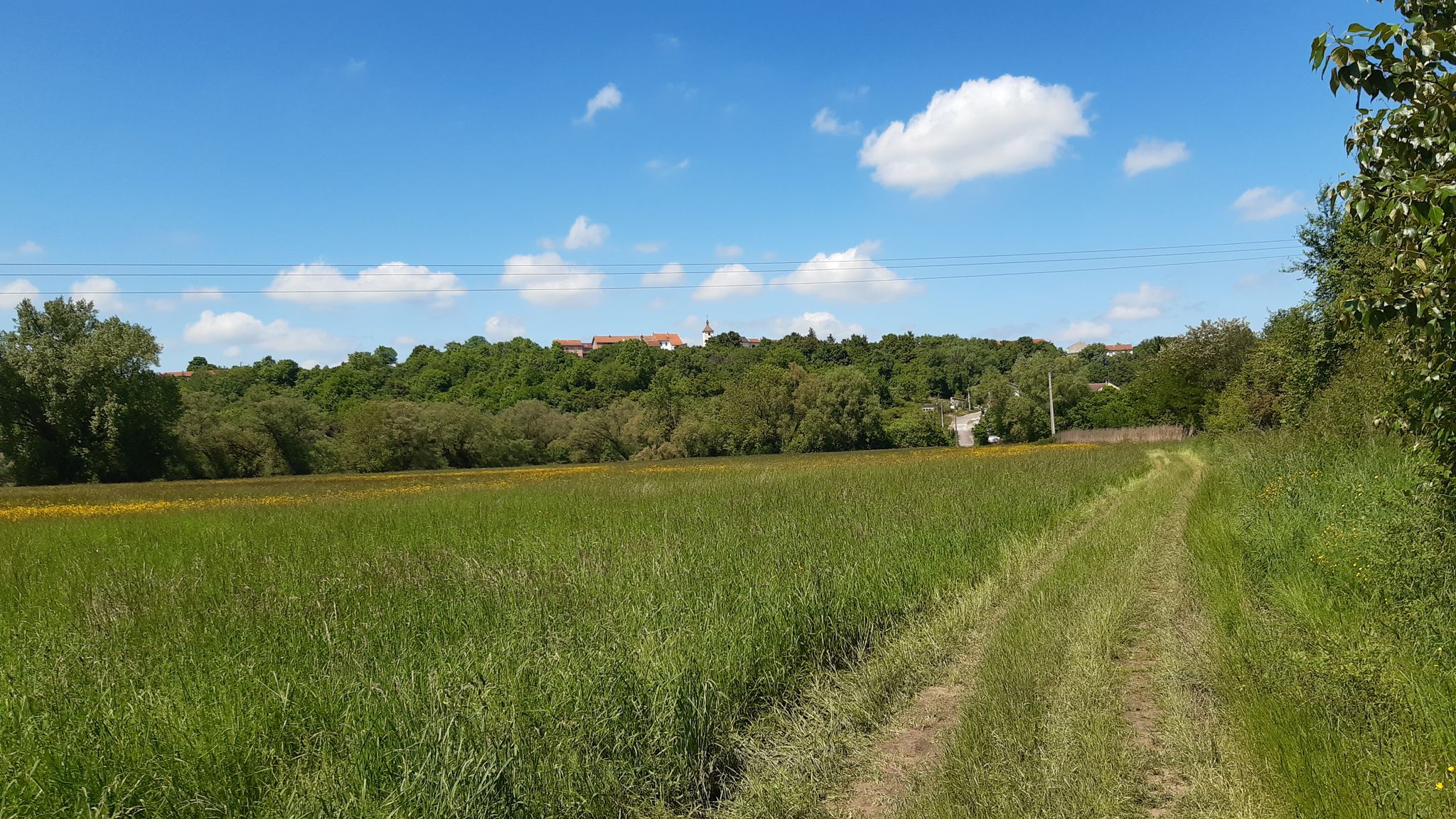 Vue sur Heckling