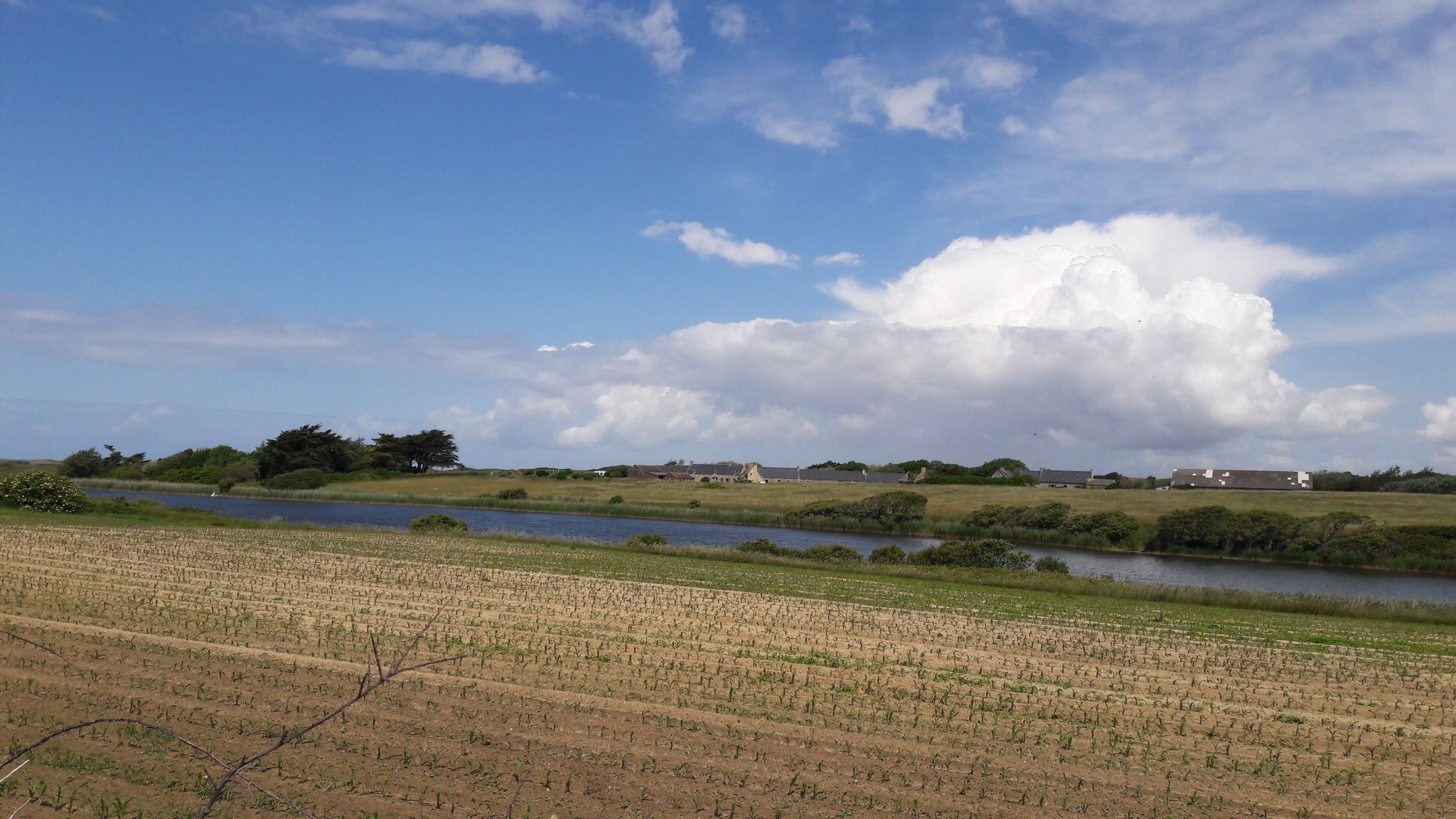L'étang de Saint-Vio
