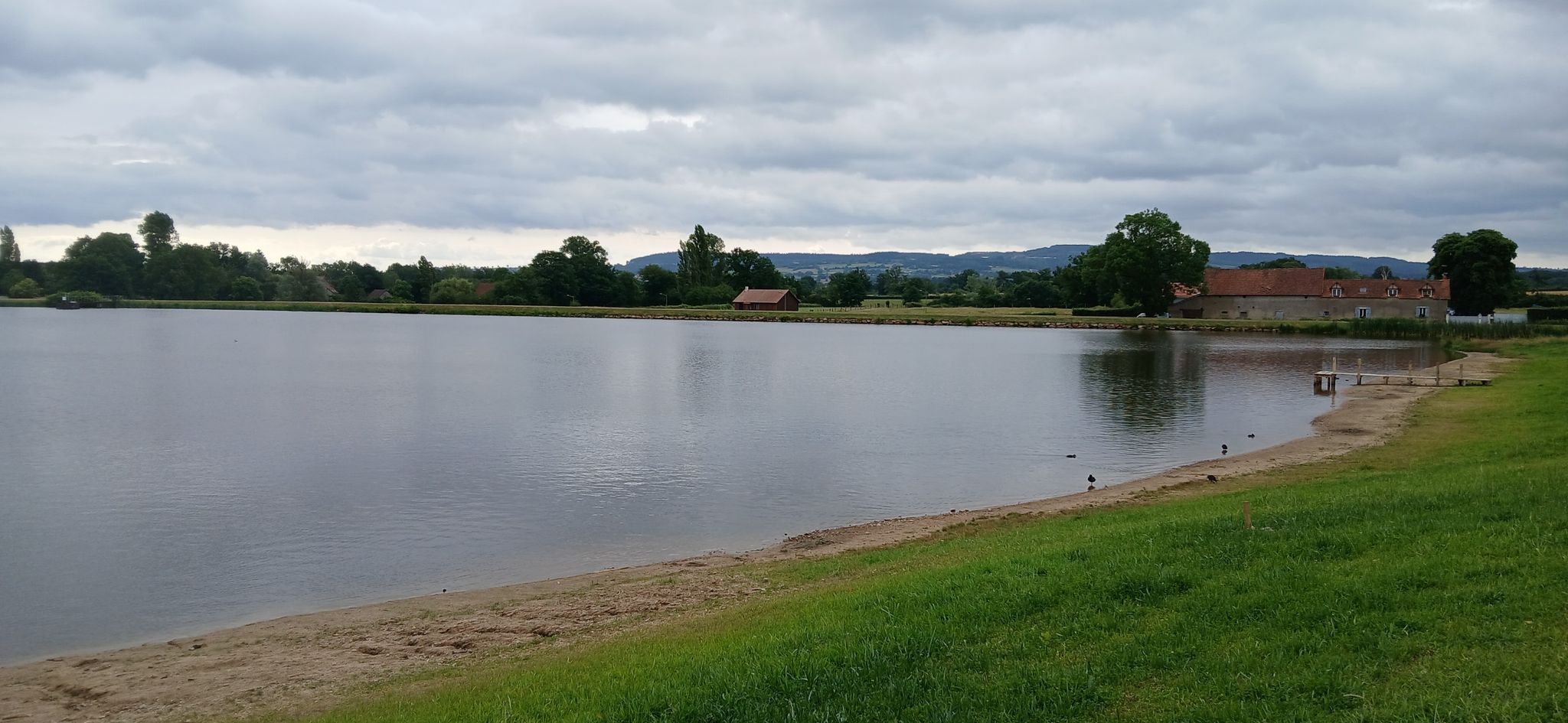 Même les poules d'eau sont bienvenues !