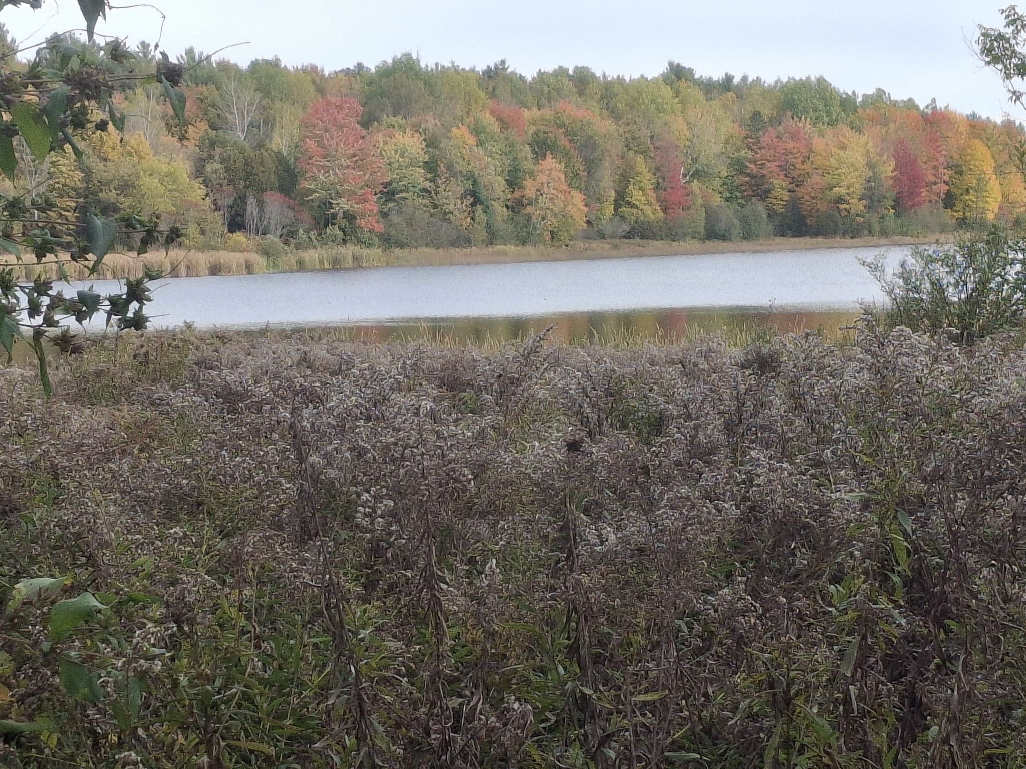 lake Jerome