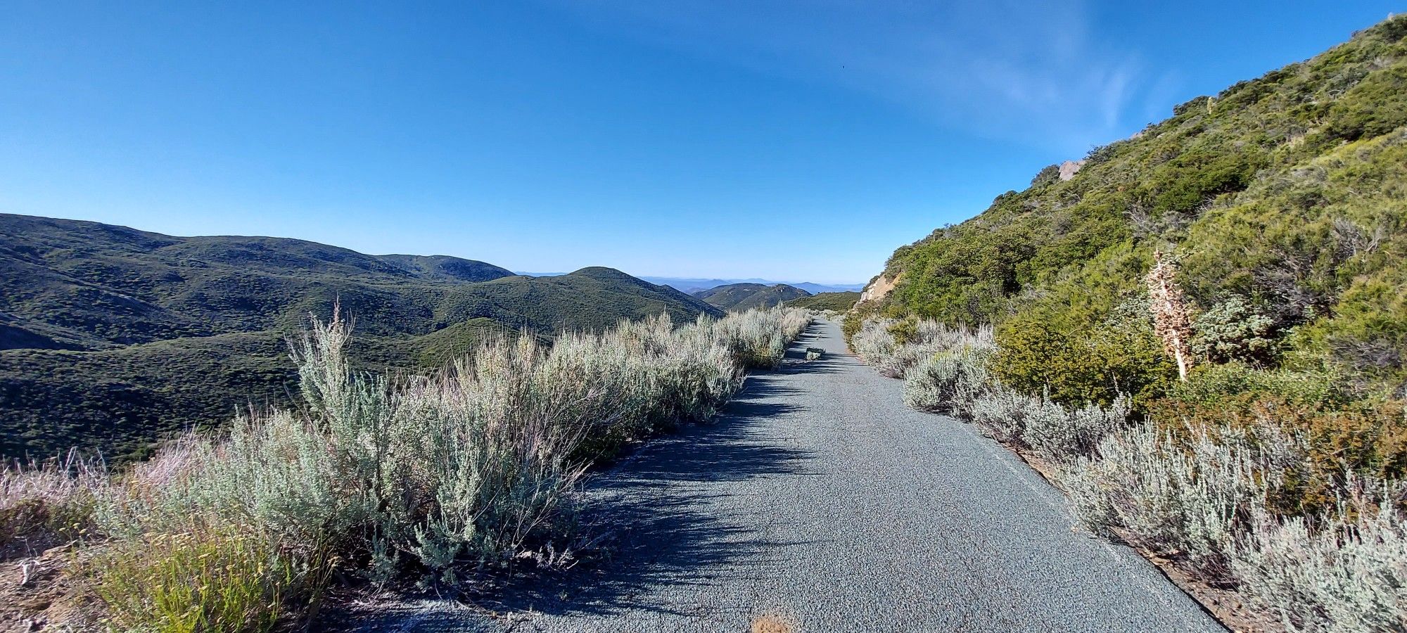 Paved road winding uphill through green brush with distant mountains. - Laguna Summit – Water of the Woods loop from Pine Valley