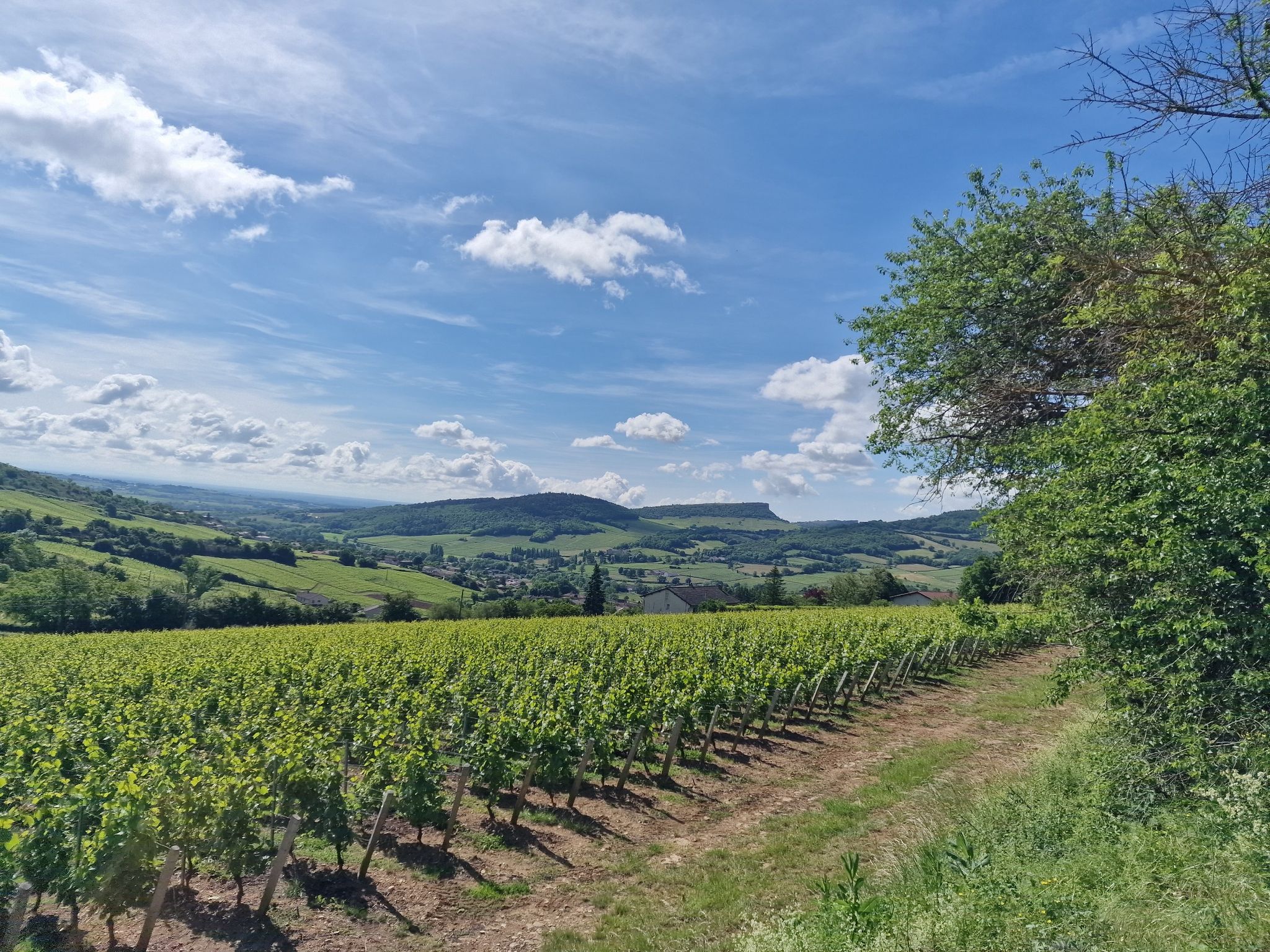 montée