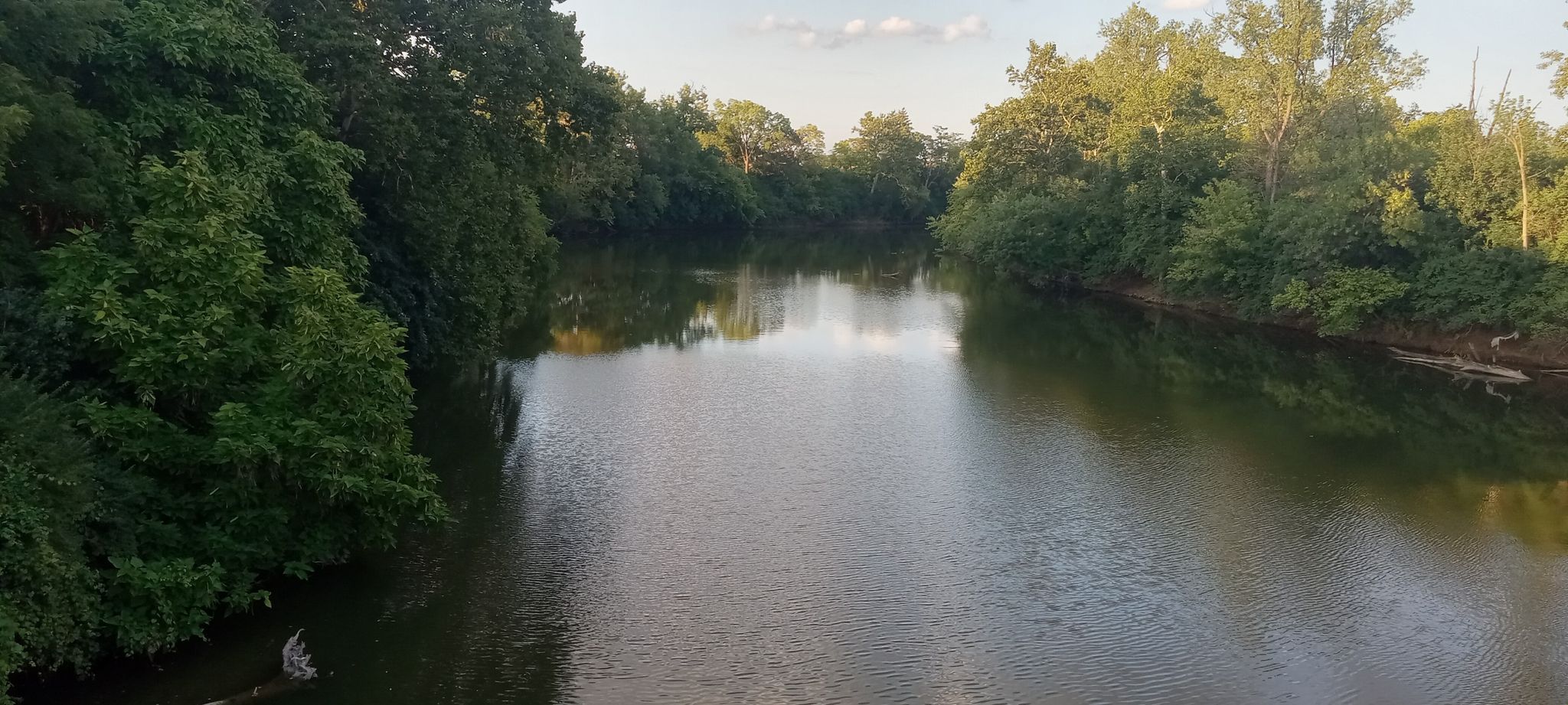 Calm river flowing between dense green trees under a soft sky. - Scioto River Bridge – Darby Creek loop from The Ohio State University