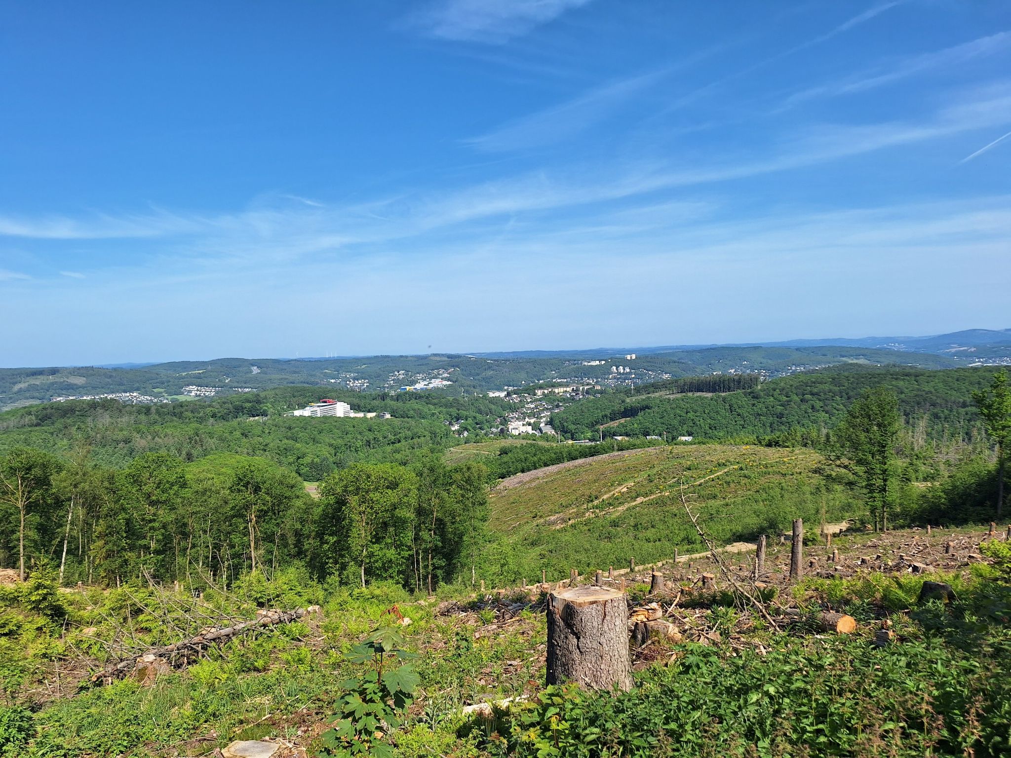 Blick auf Siegen