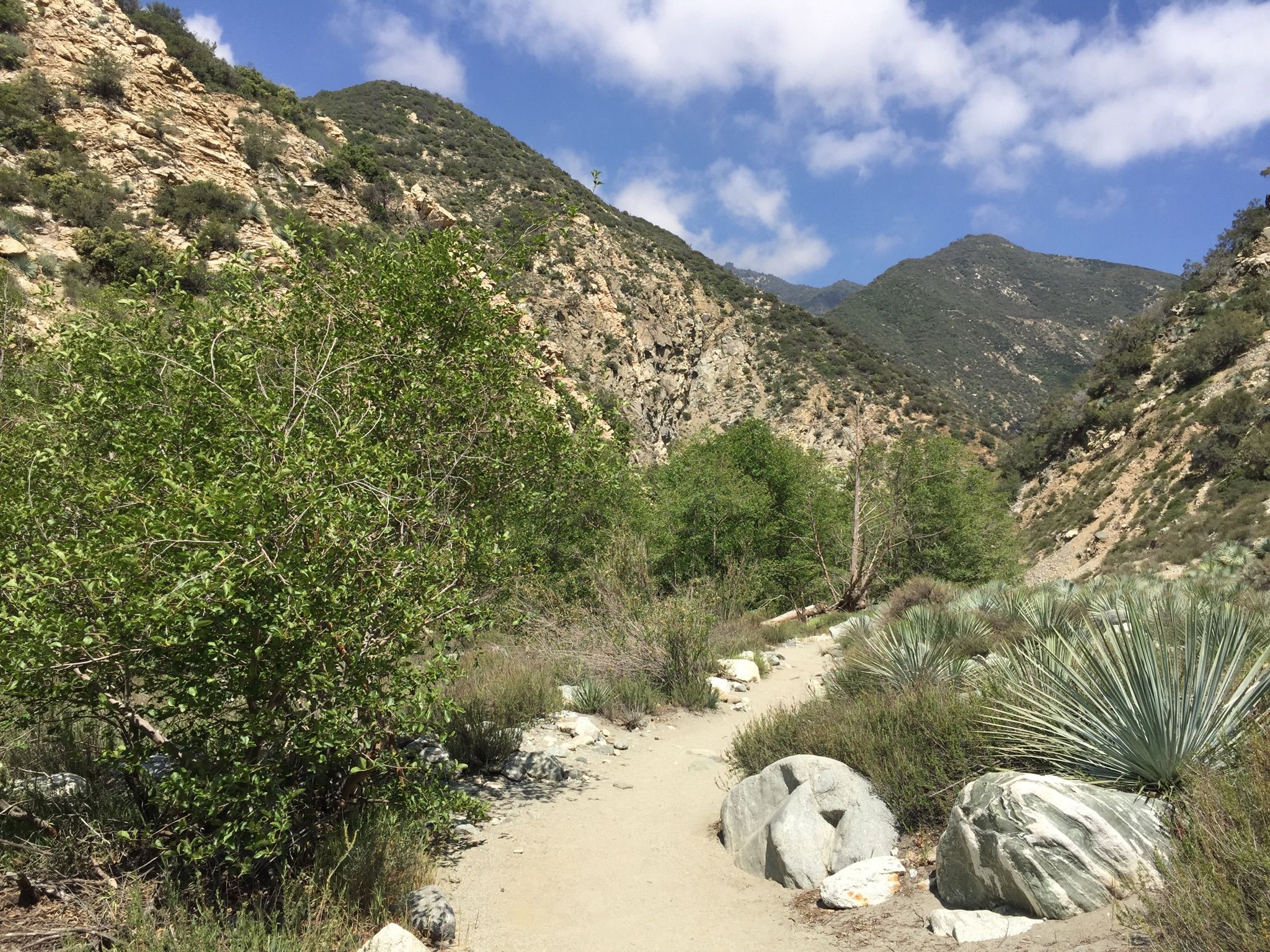 A dirt path winds through a sunny, rocky mountain canyon. - Bridge to Nowhere via East Fork Trail