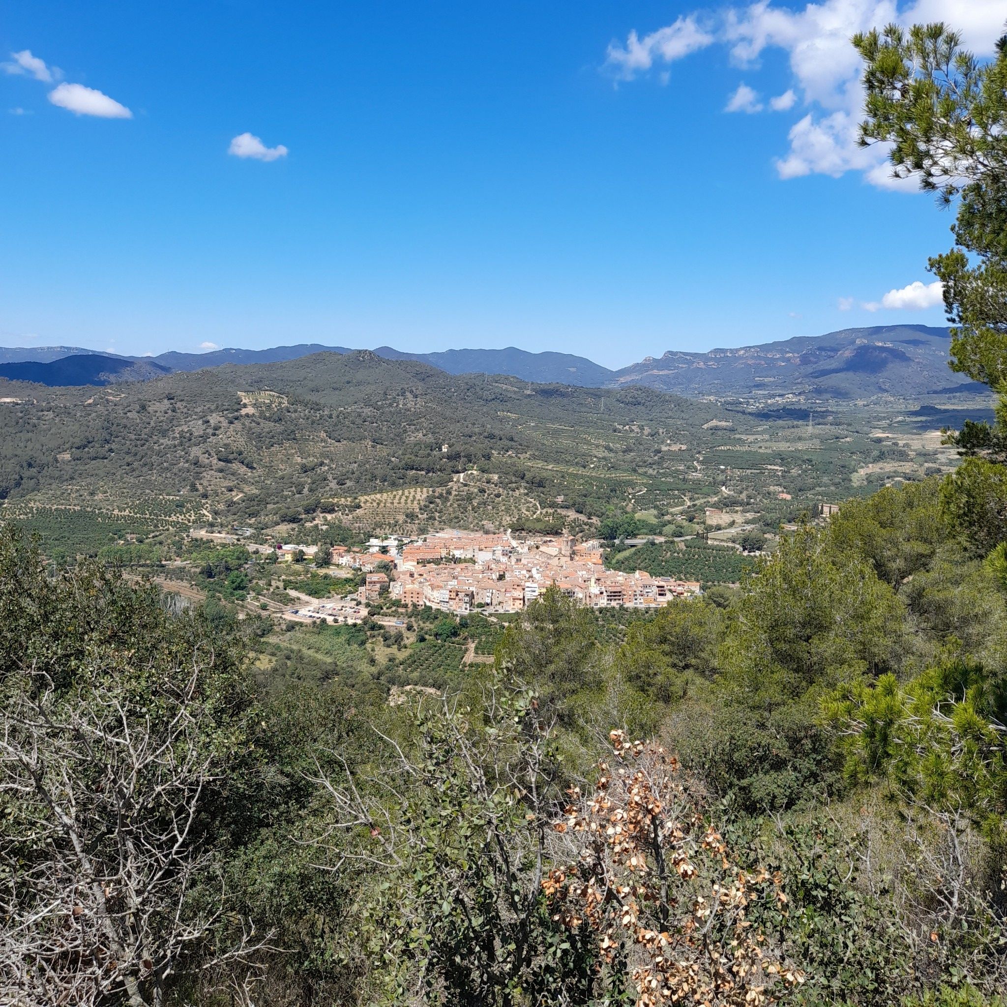 L'Aleixar