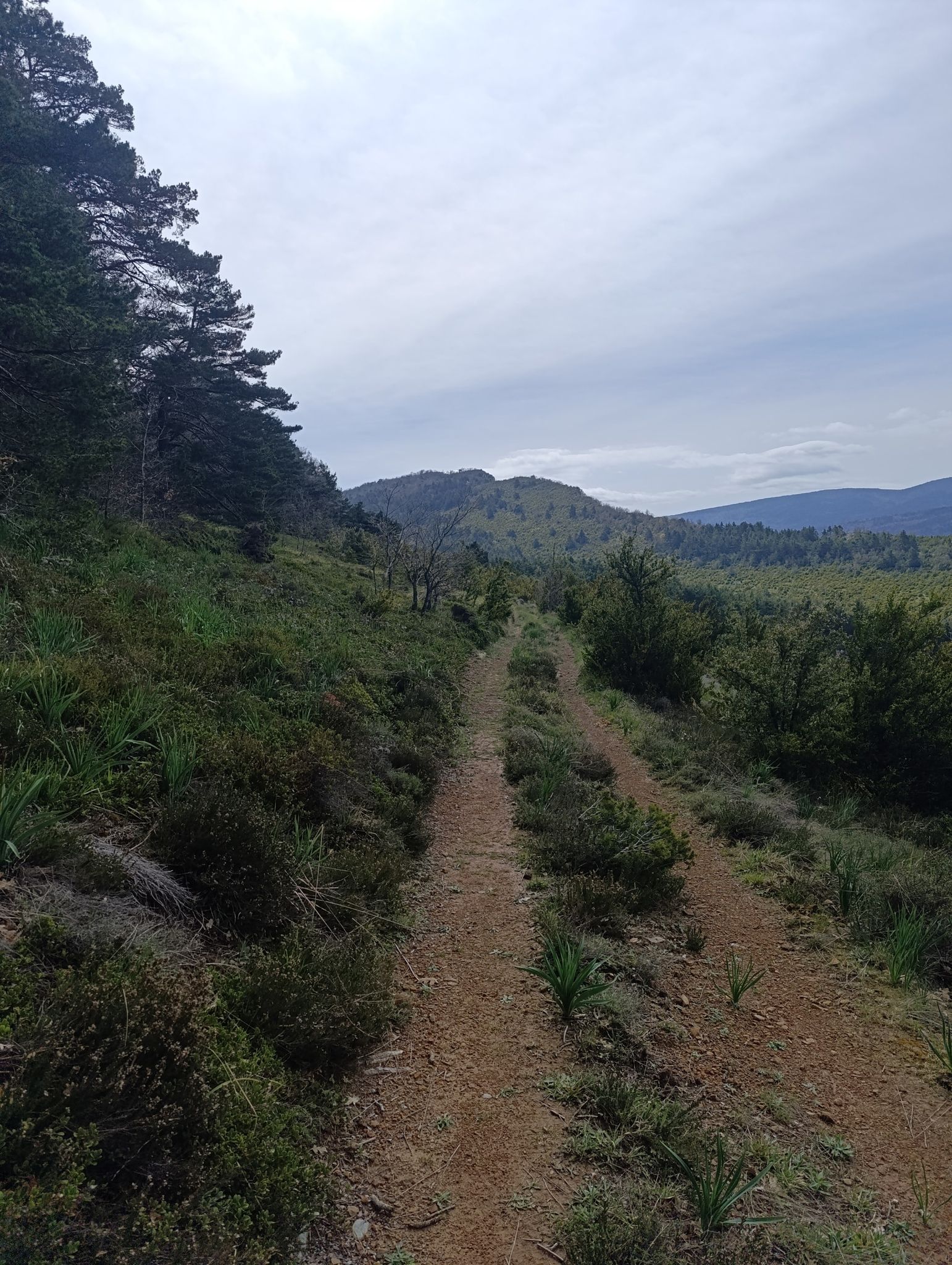 vistas de Illon