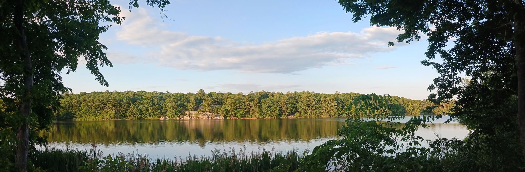 Panoramic view of a calm lake surrounded by dense green trees. - Border to Boston Trail - Trailhead – Lake Quannapowitt loop from Lynn Woods Reservation