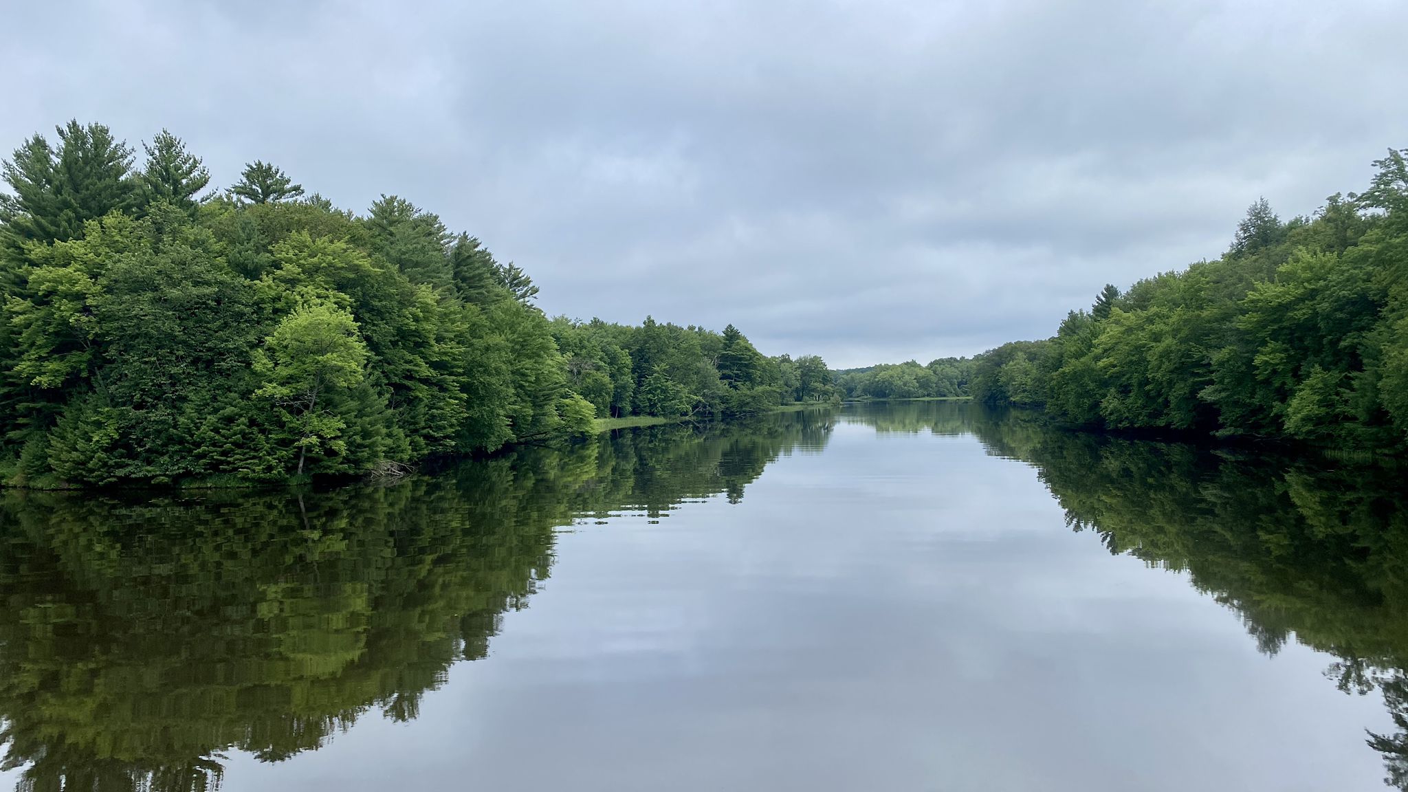 Calm river reflecting dense green trees under an overcast sky. - Brunet Island Park Loop