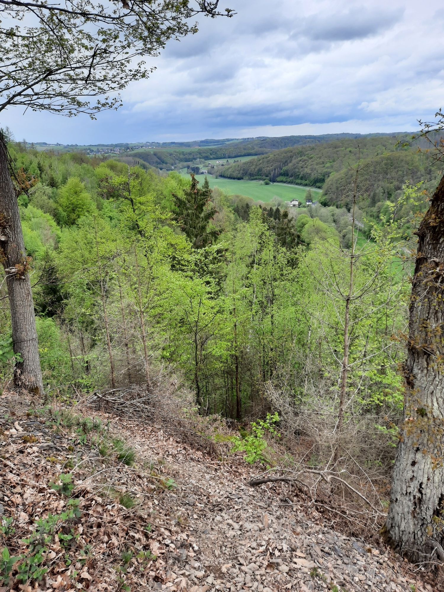 Wiedtal