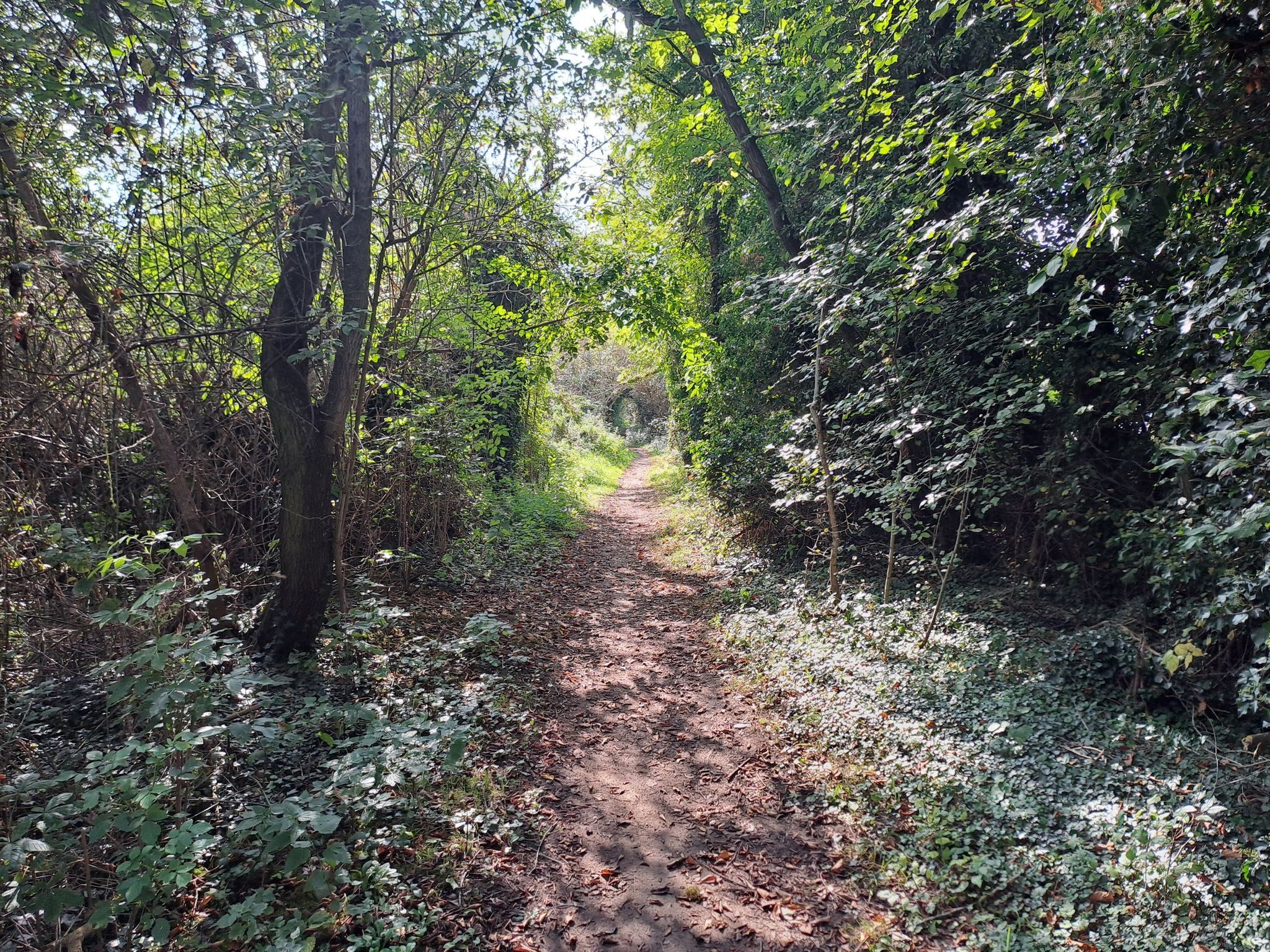 Restricted byway