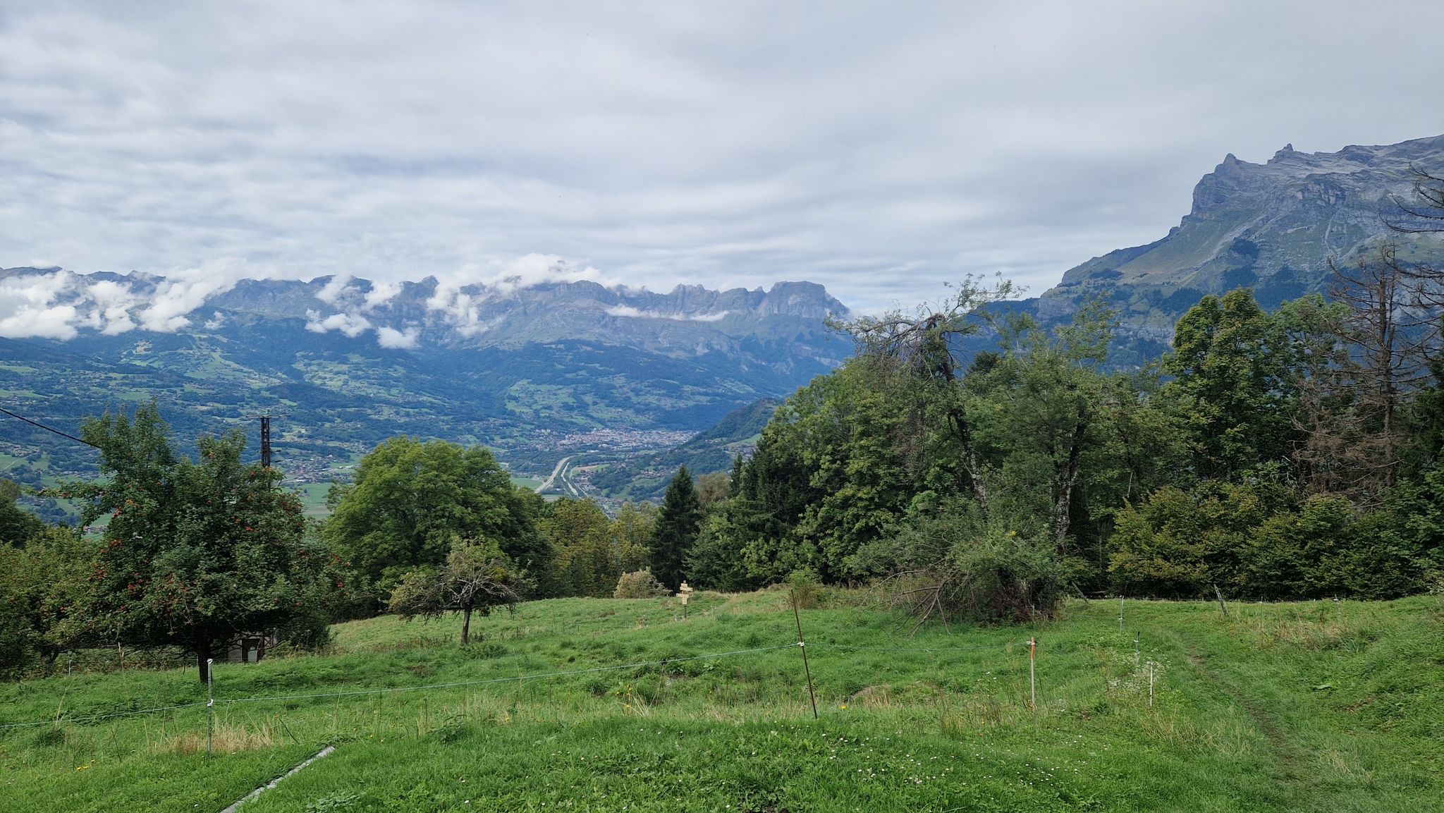 Chemin sur Verdure