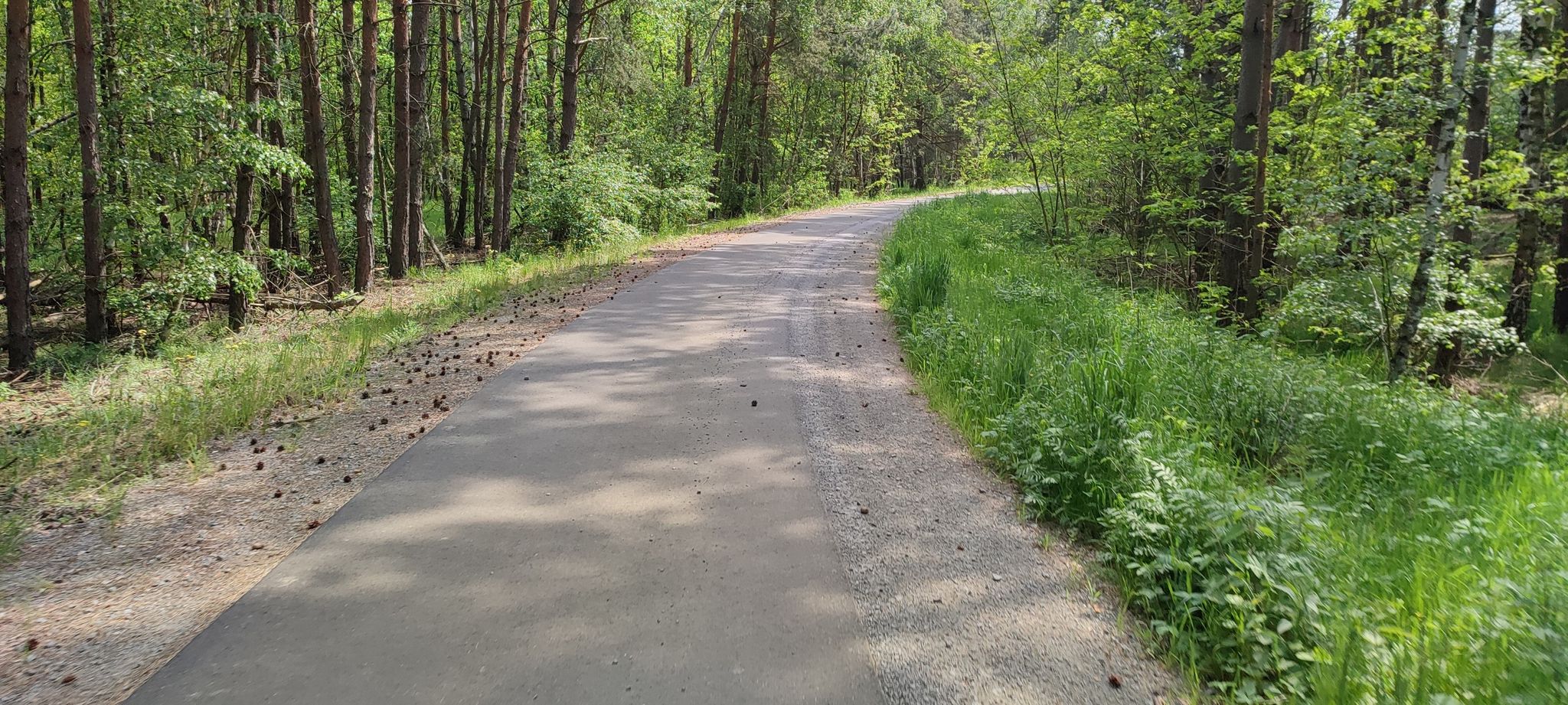 schöner Radweg
