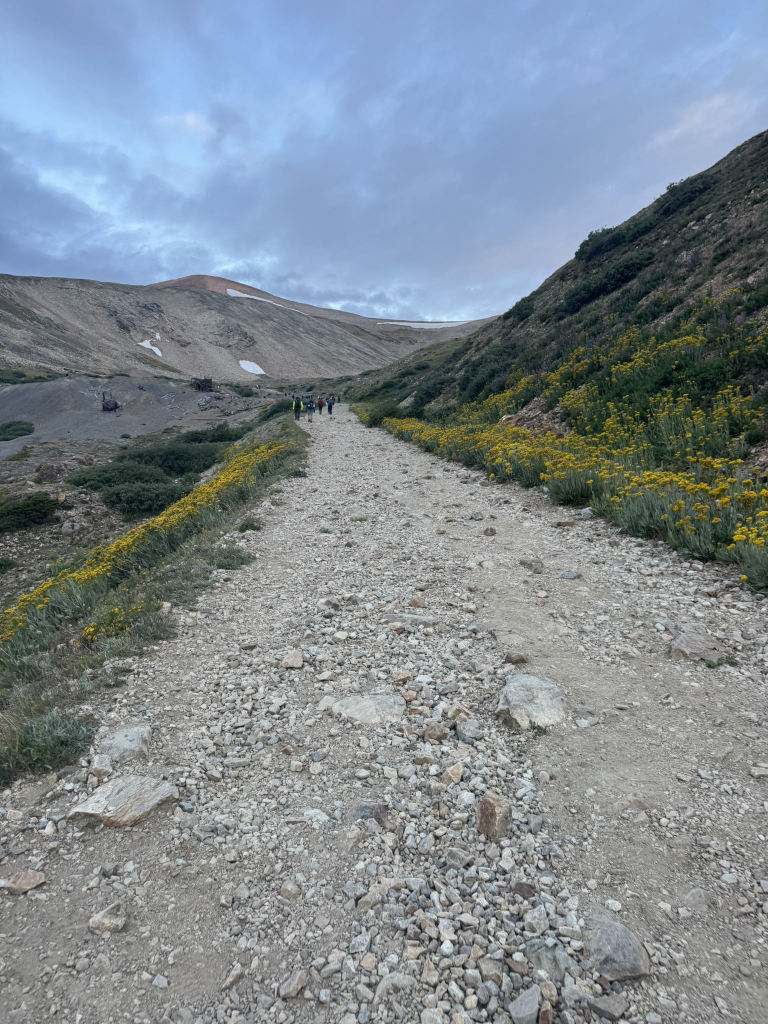 A gravel mountain path lined with yellow flowers and distant hikers under a cloudy sky. - Dauntless Mine